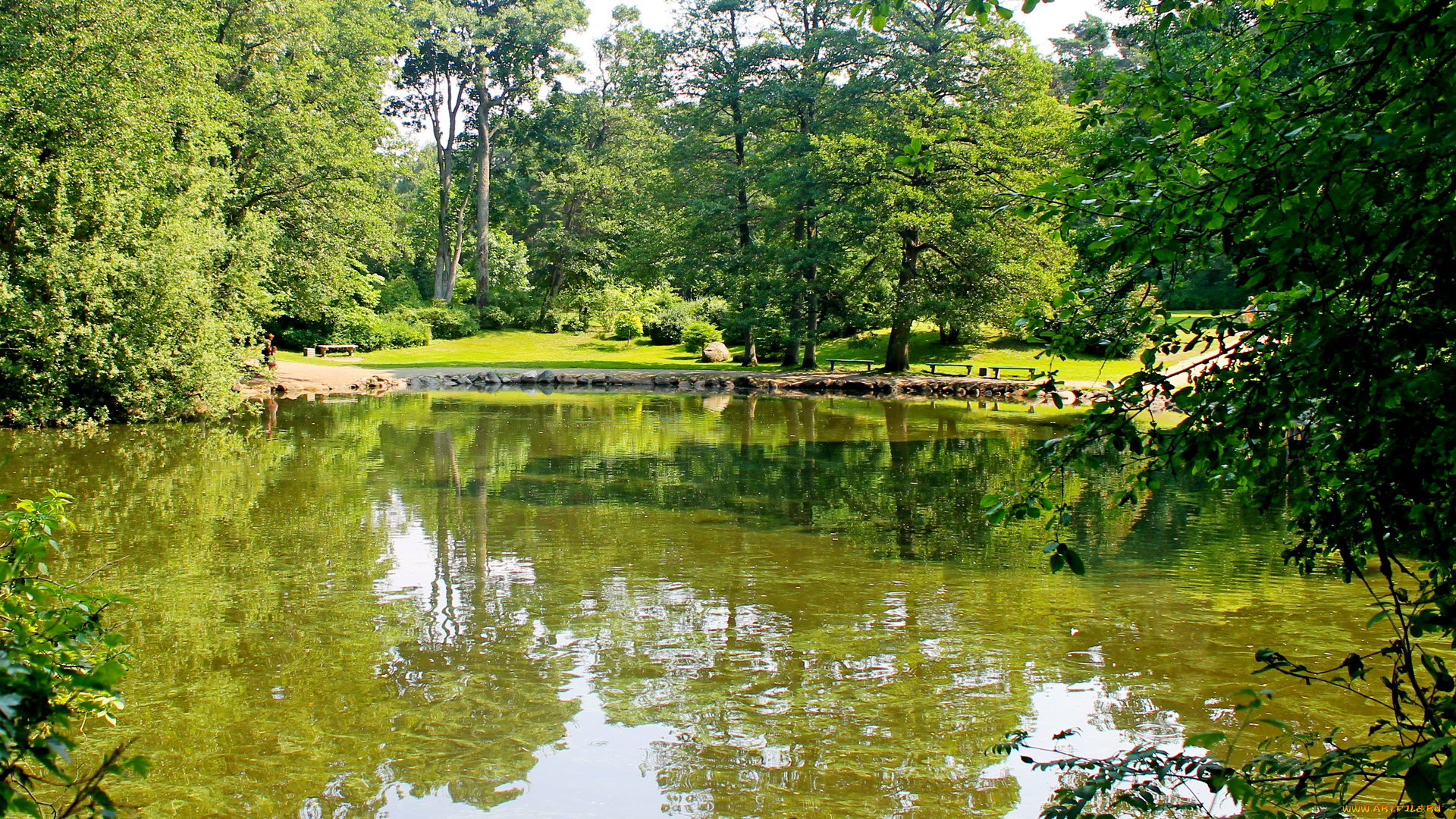 литва, паланга, botanical, park, природа, парк, водоем, растения
