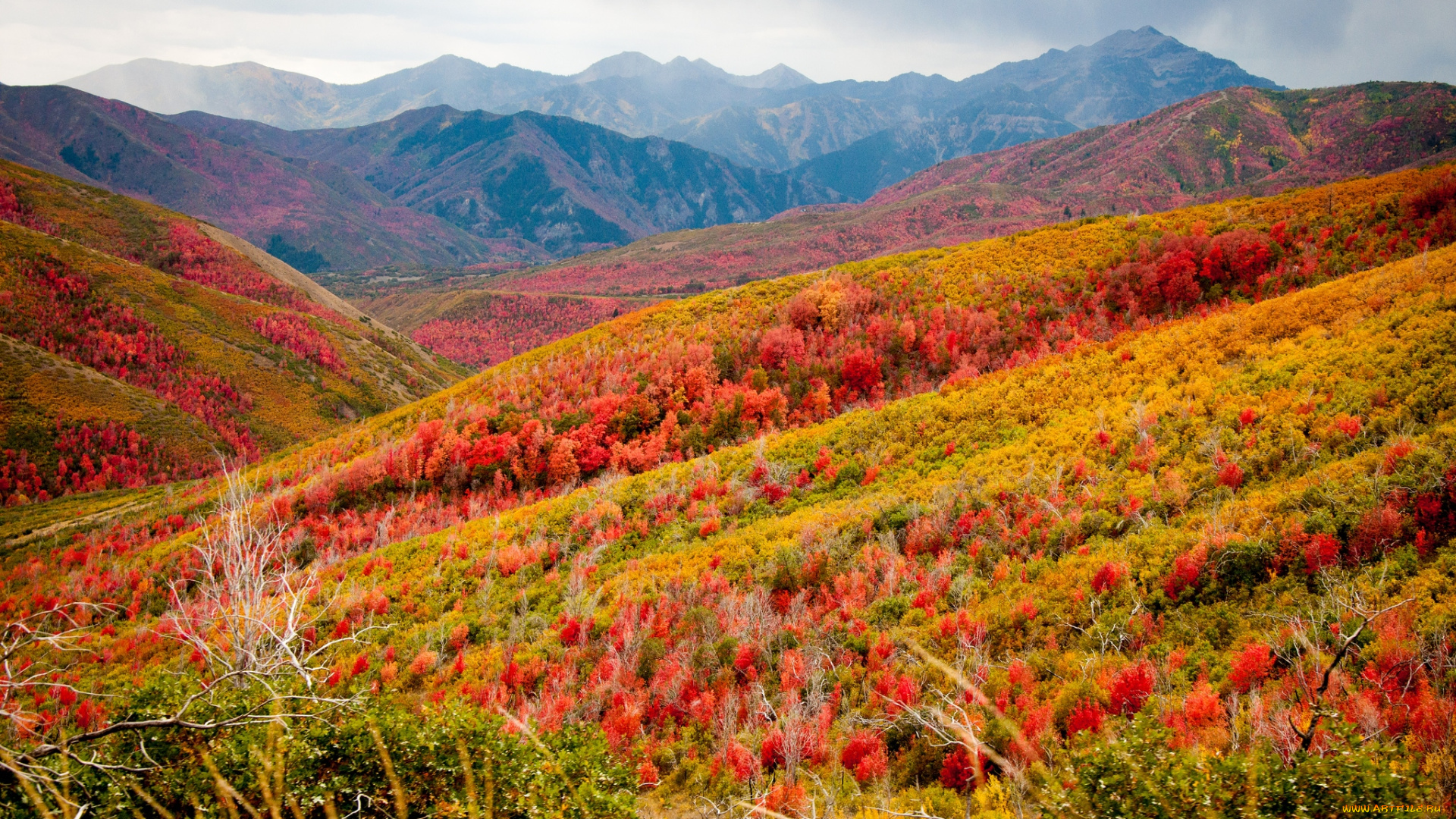 природа, горы, осень, пейзаж