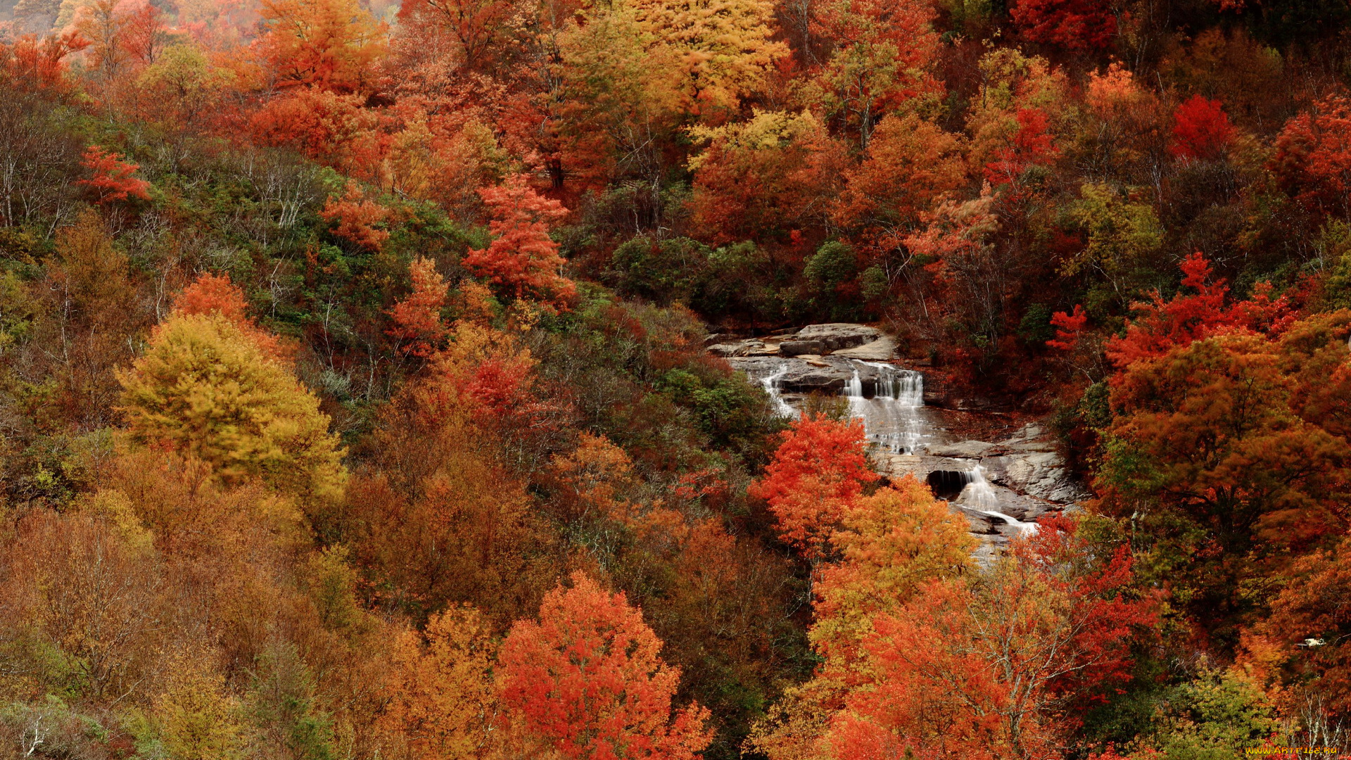 природа, водопады, лес, осень, водопад