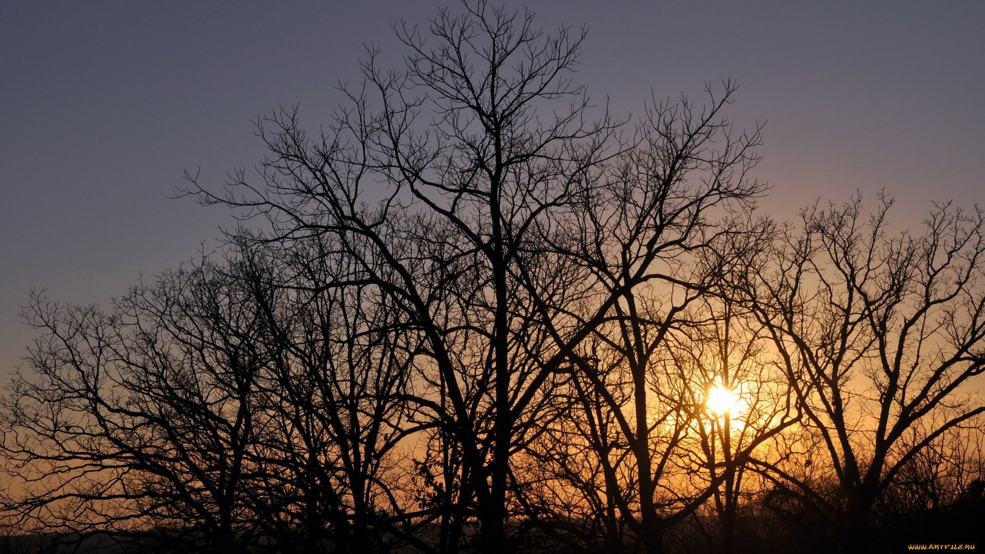 природа, восходы, закаты, закат, деревья