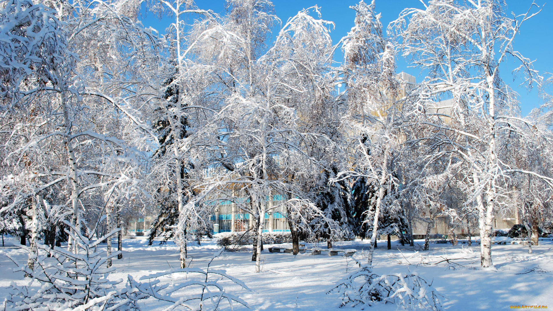 природа, зима