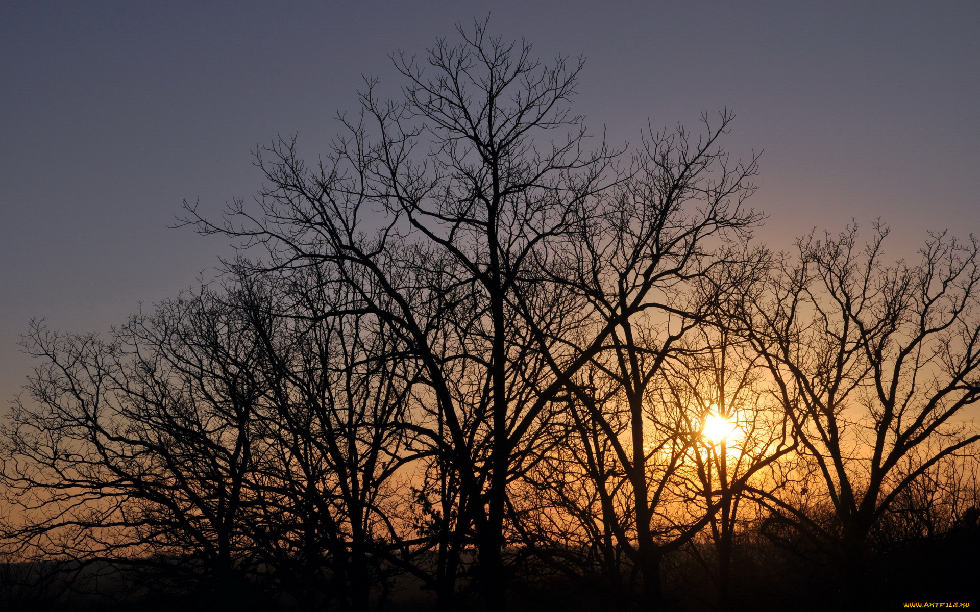 природа, восходы, закаты, закат, деревья