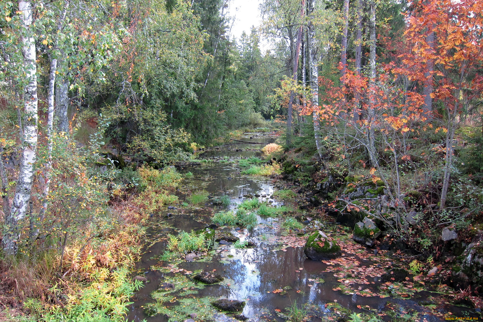 финляндия, aura, природа, реки, озера