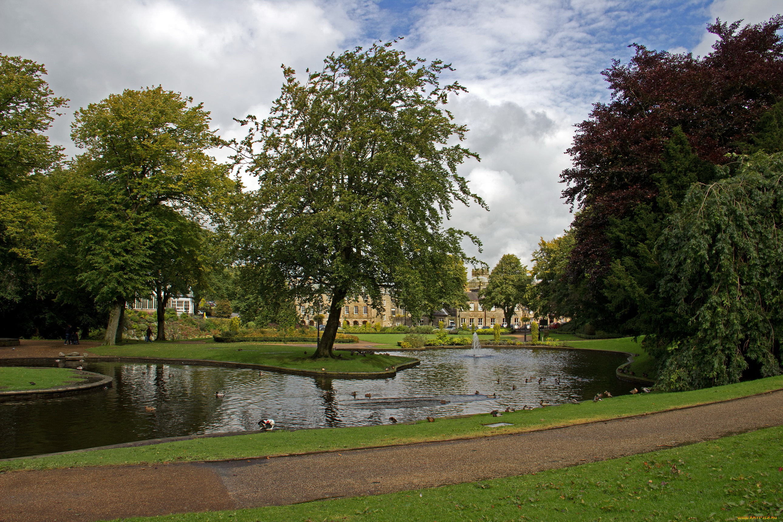 англия, бакстон, парк, природа, деревья, река