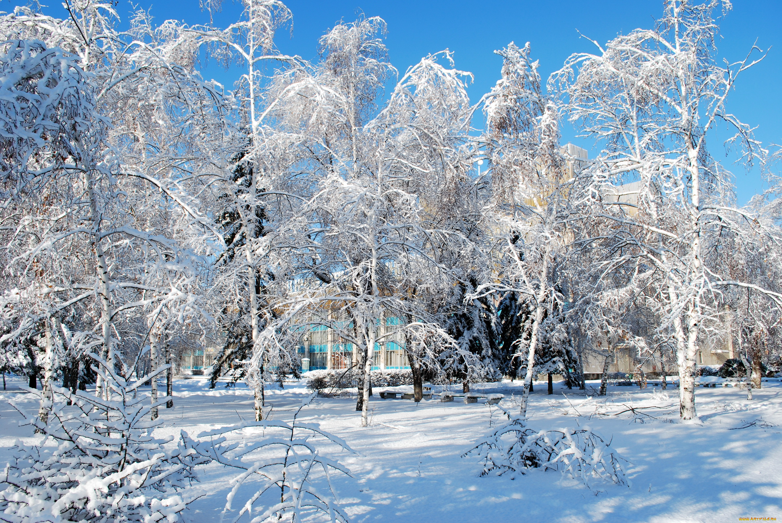 природа, зима