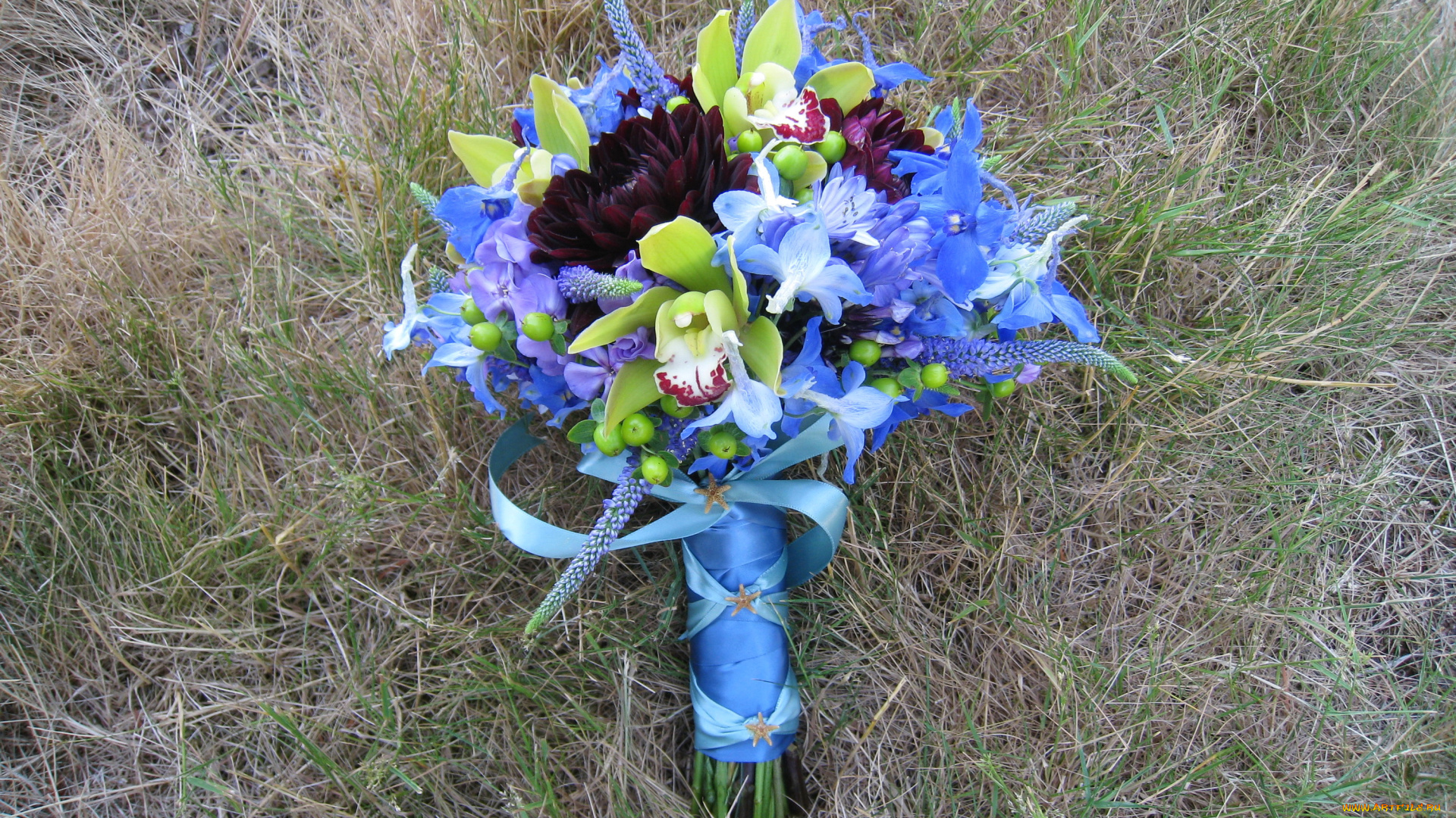 цветы, букеты, , композиции, орхидеи, георгины, ирисы, люпин, букет