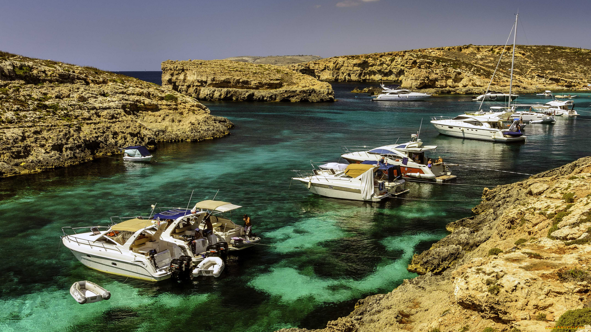 корабли, Яхты, океан, бухта, яхты