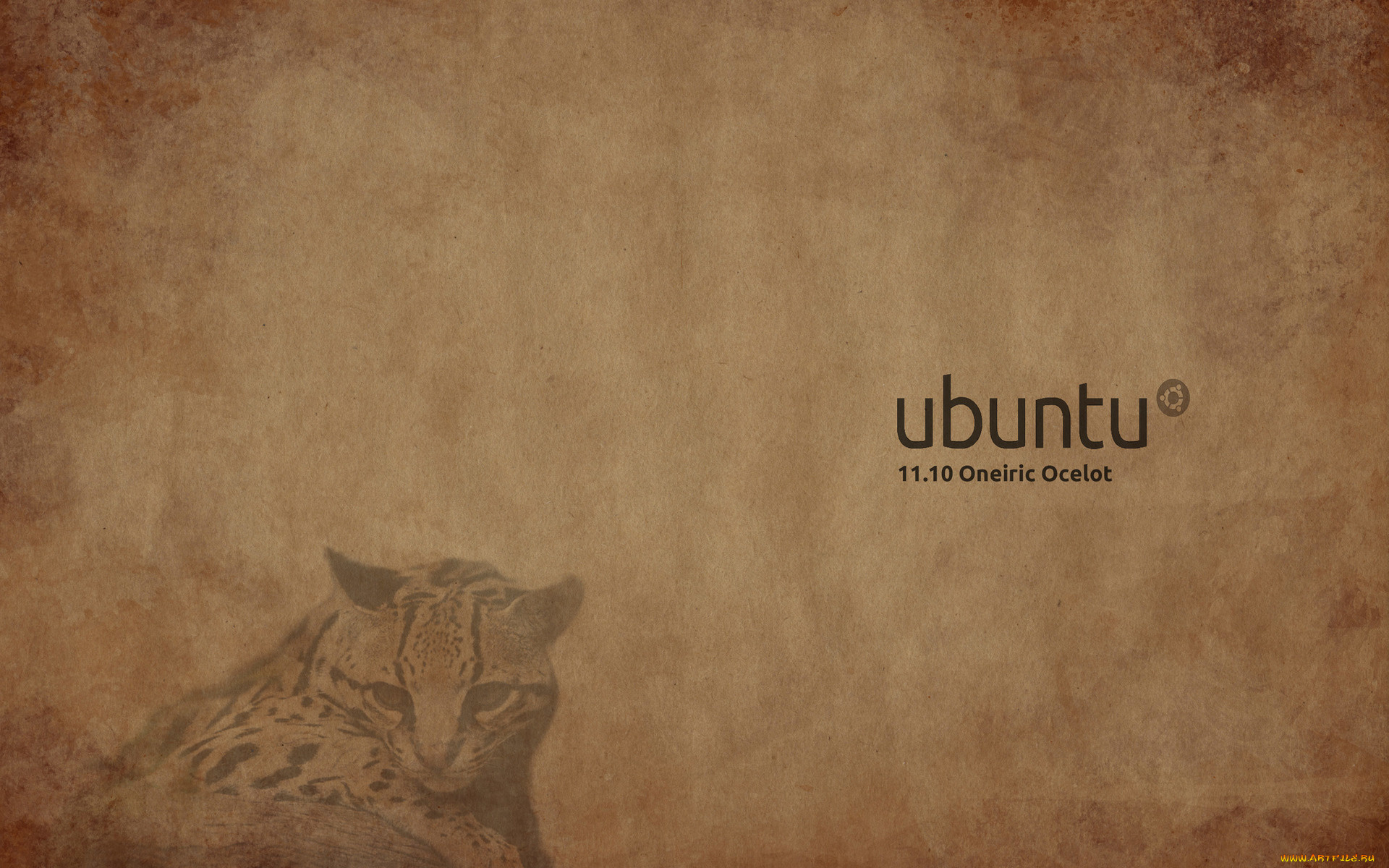 компьютеры, ubuntu, linux, кот, фон, логотип