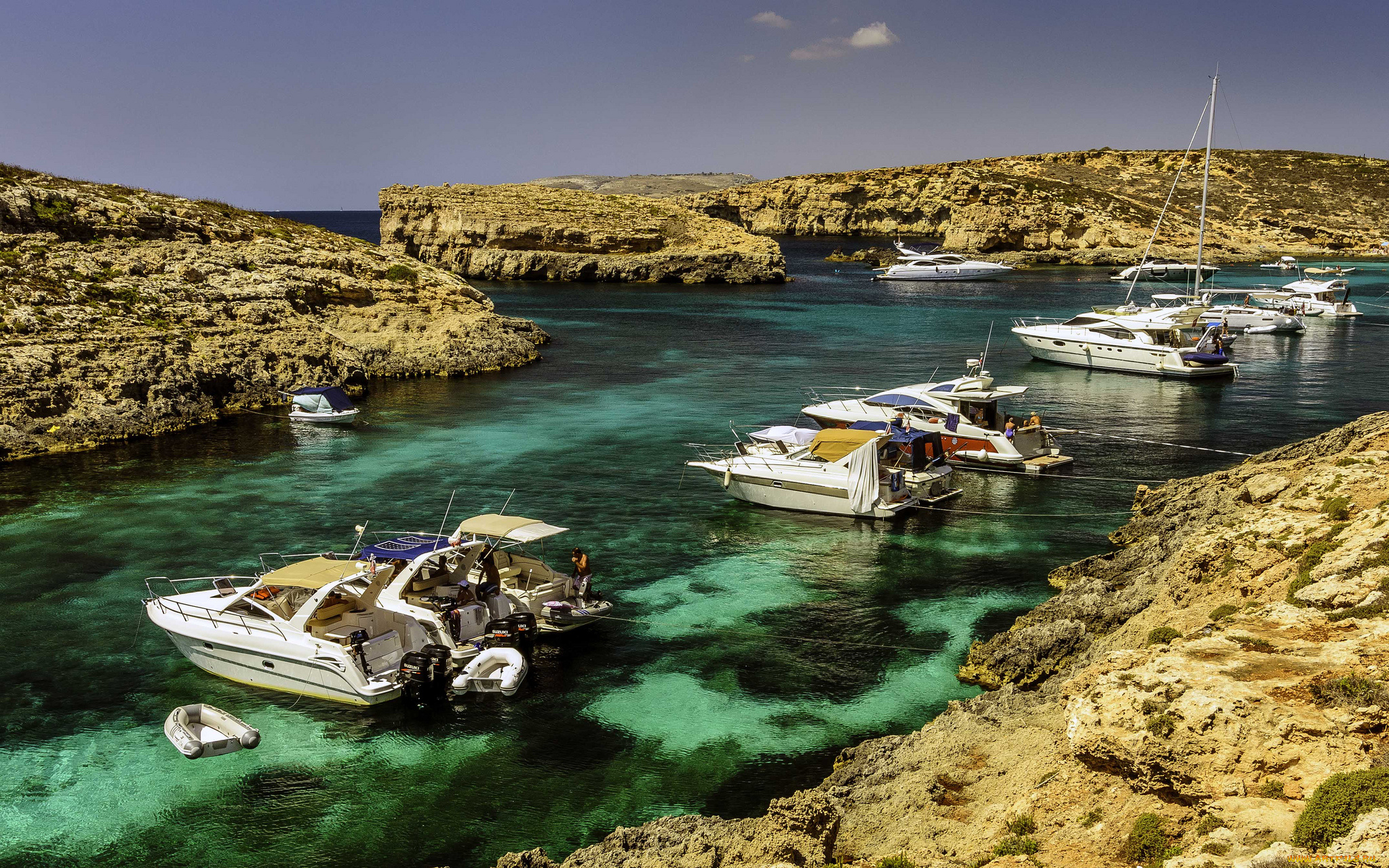 корабли, Яхты, океан, бухта, яхты