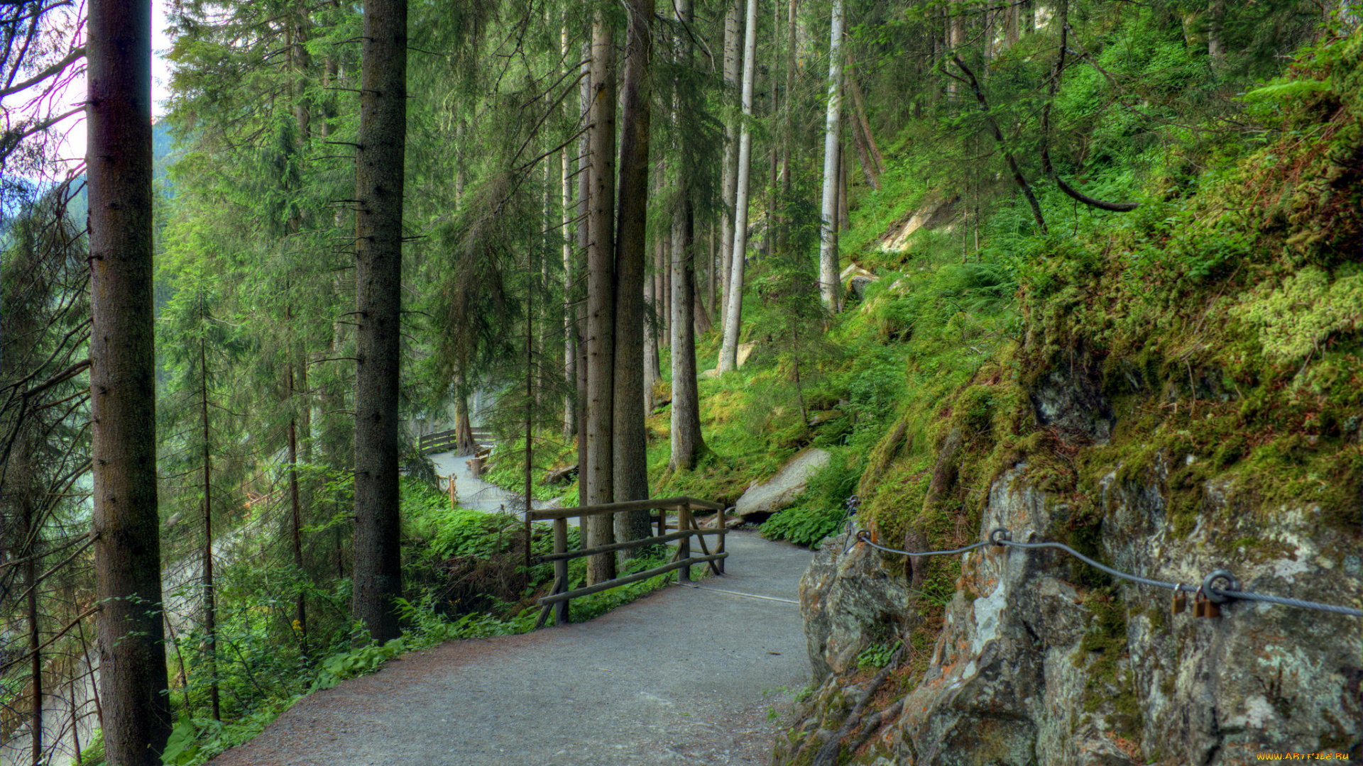 природа, дороги, дорога, лес