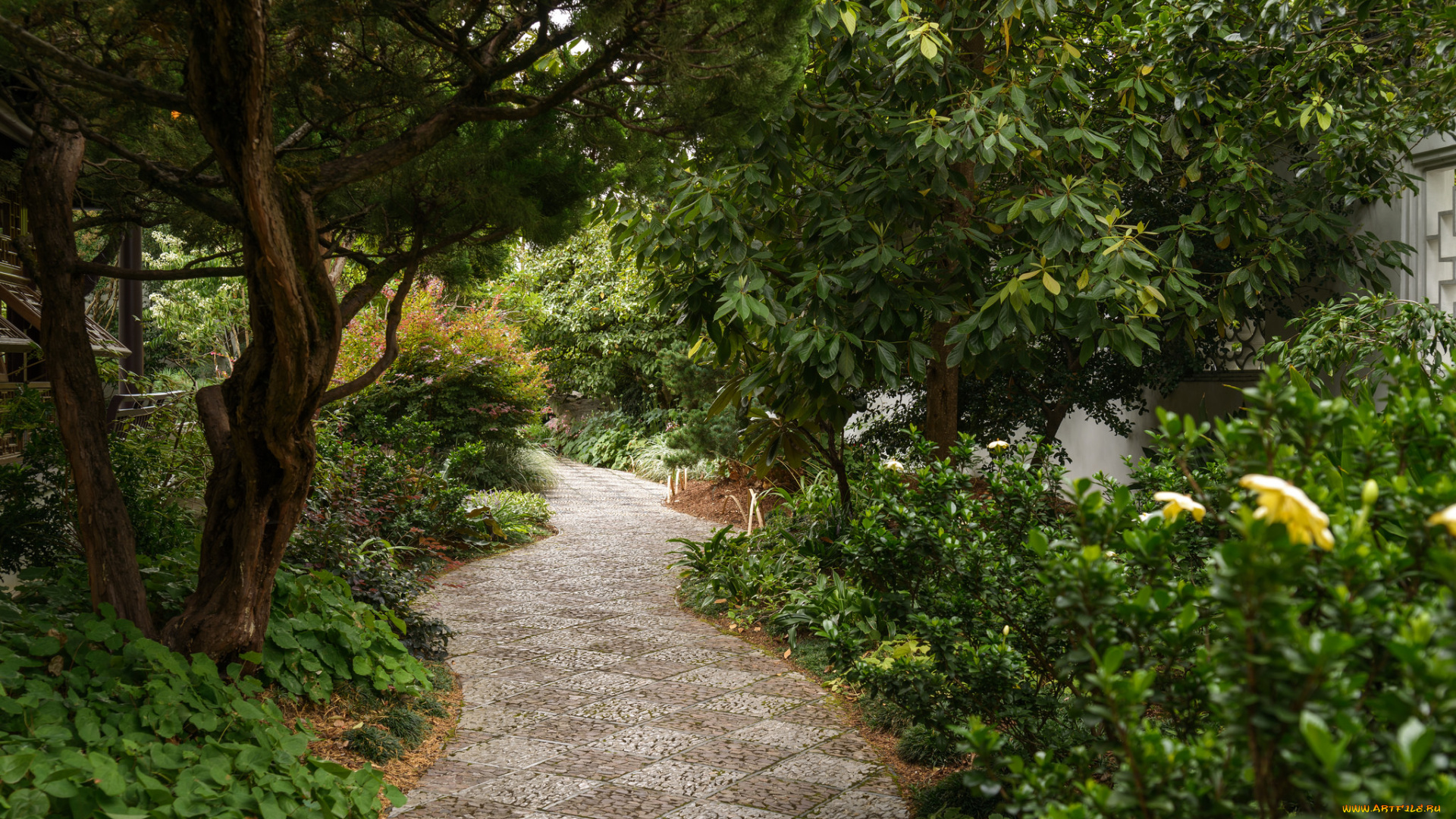 природа, дороги, дорога, лес