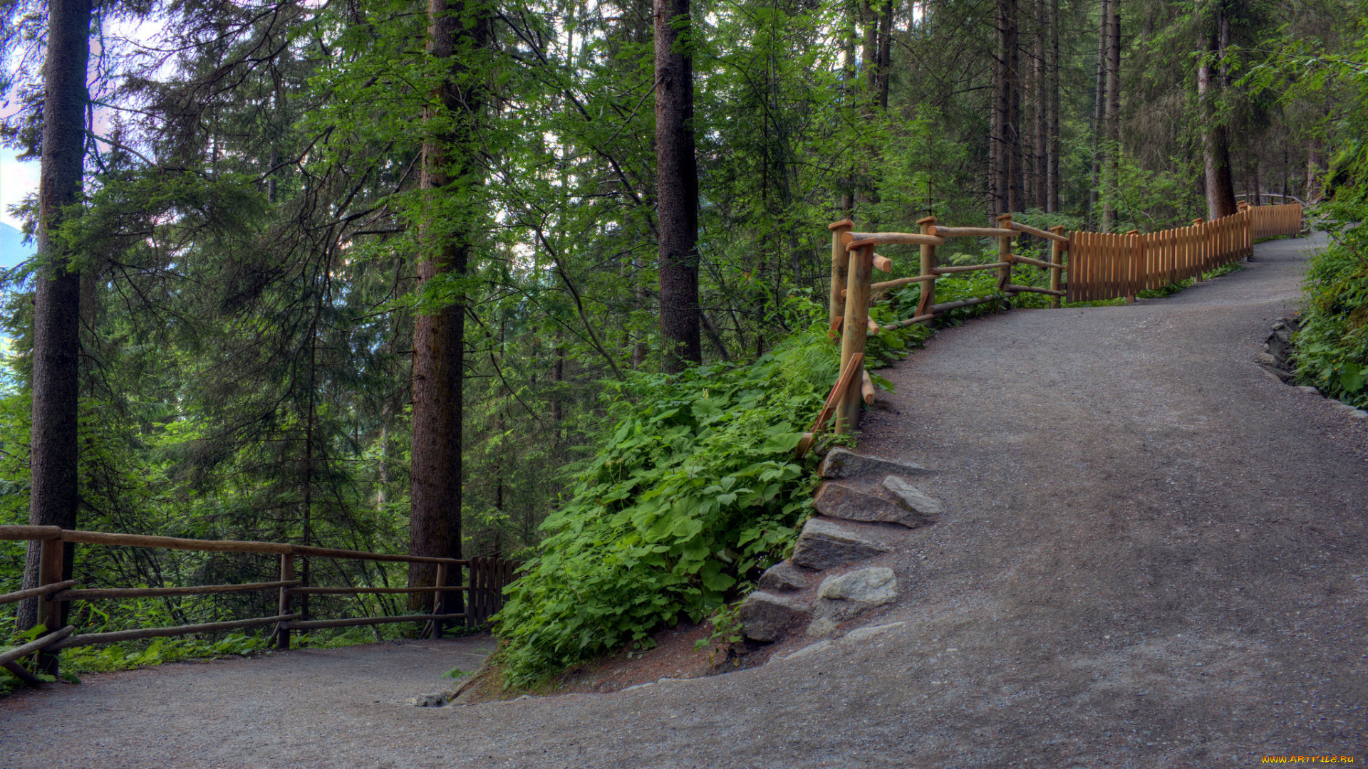 природа, дороги, лес, дорога