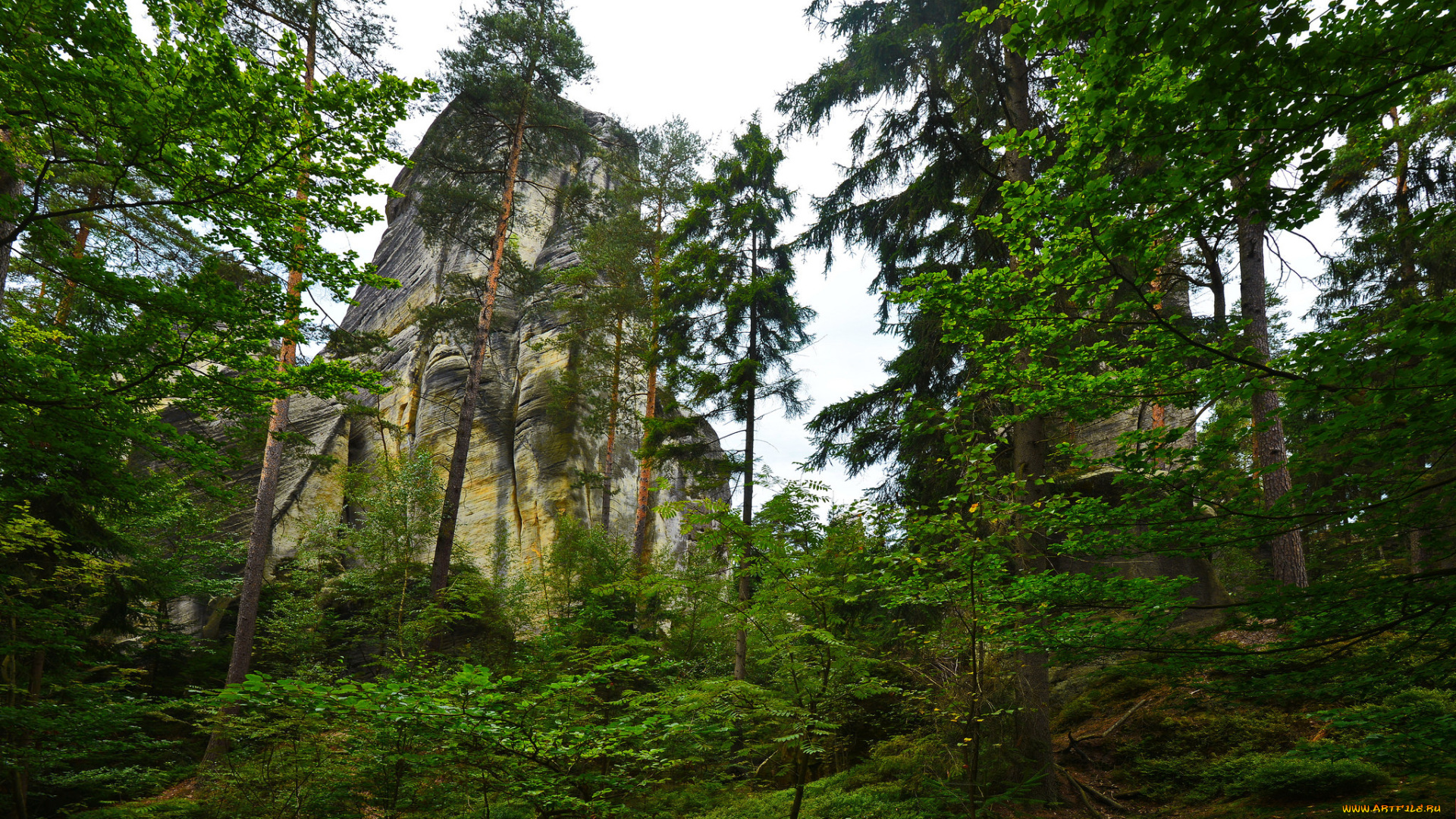 природа, горы, скала, лес