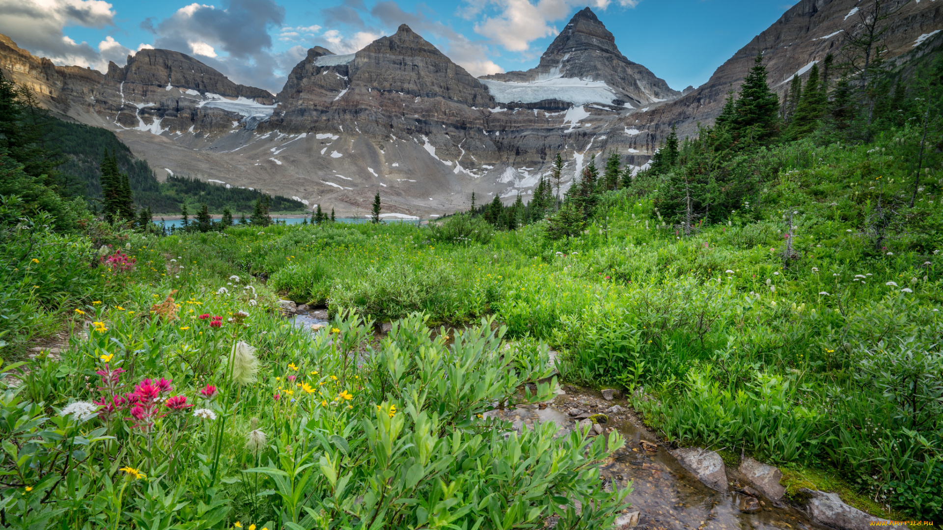 природа, реки, озера, горы, лес, река