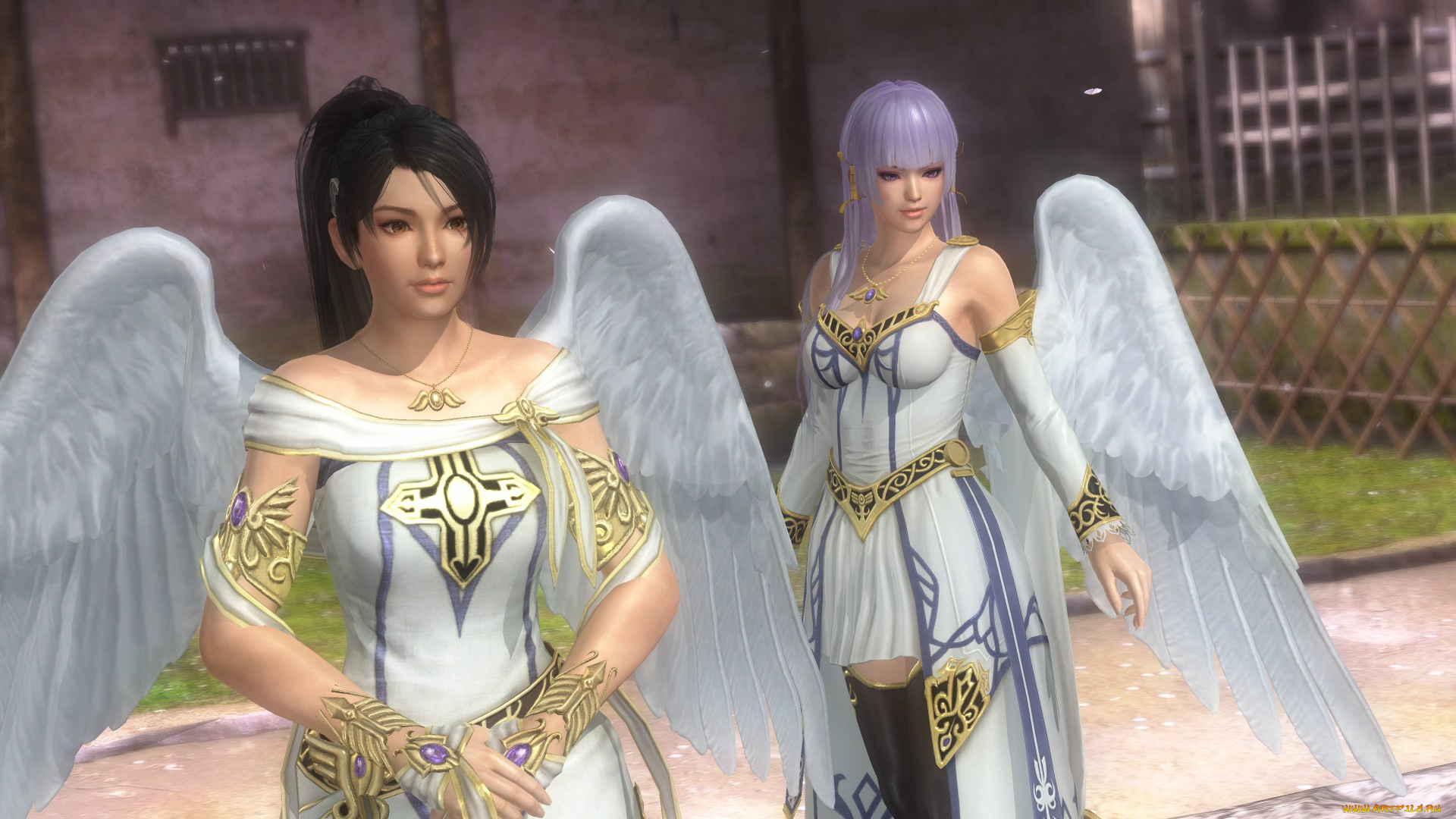 видео, игры, dead, or, alive, 5, ангелы, фон, взгляд, девушки