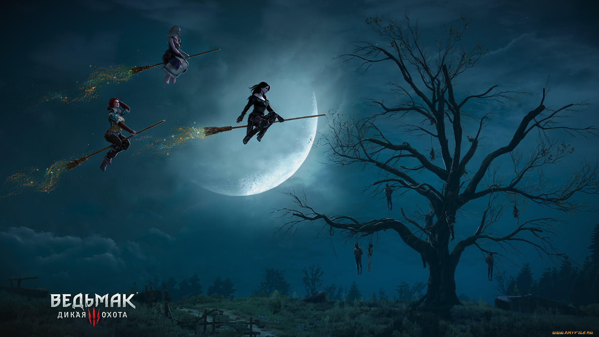 видео, игры, the, witcher, 3, , wild, hunt, action, охота, дикая, ведьмак, wild, hunt, the, witcher, 3, ролевая