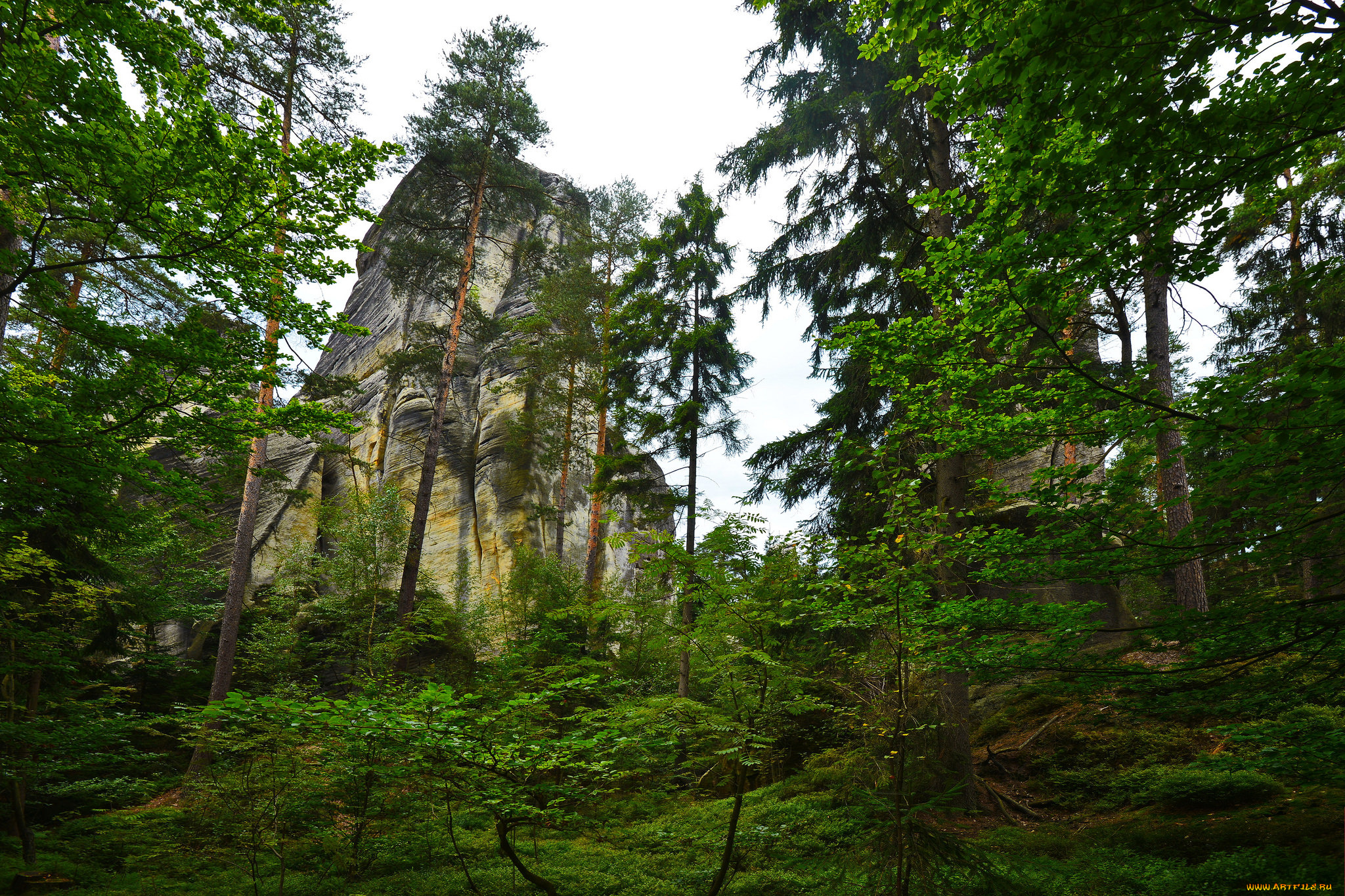 природа, горы, скала, лес