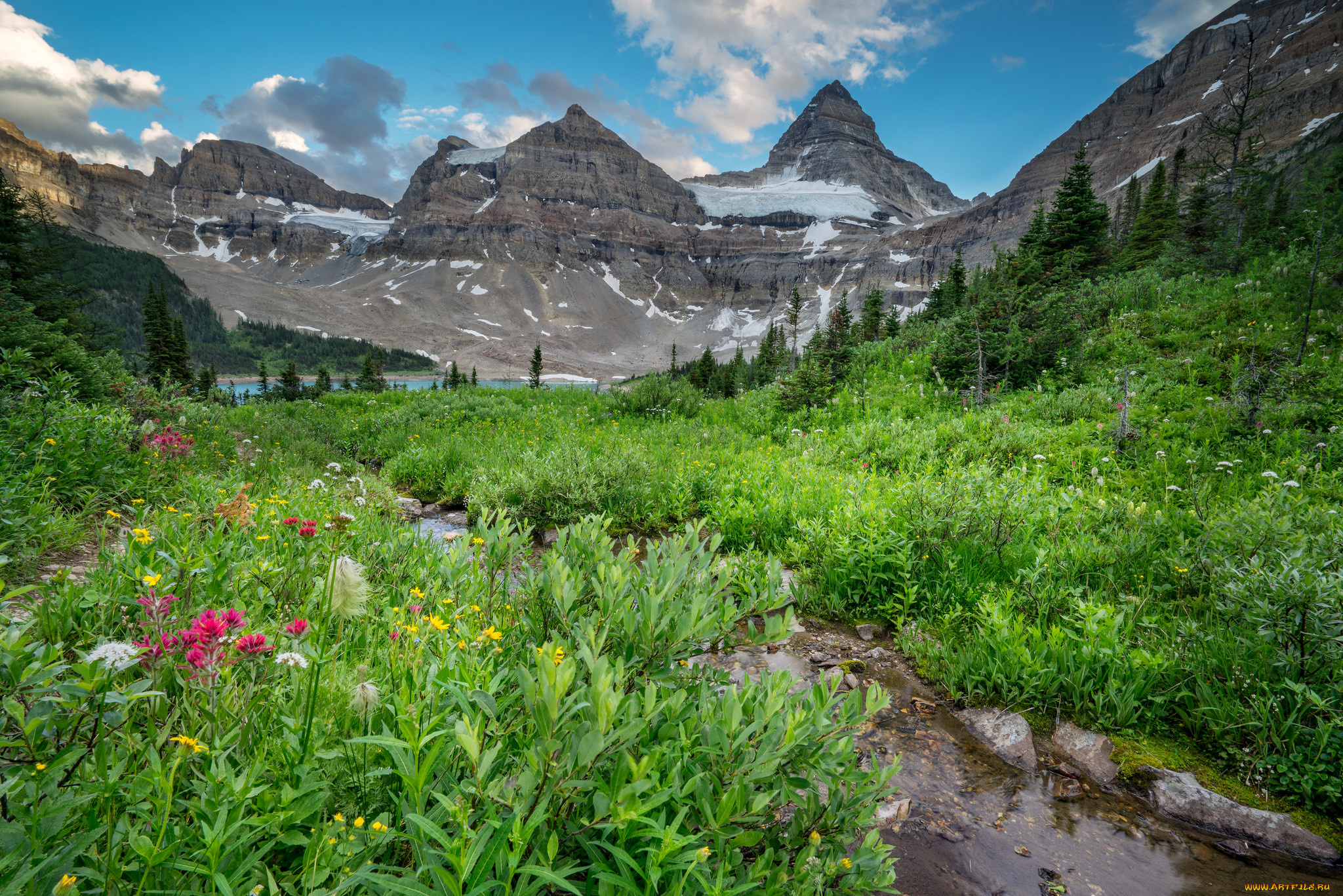 природа, реки, озера, горы, лес, река