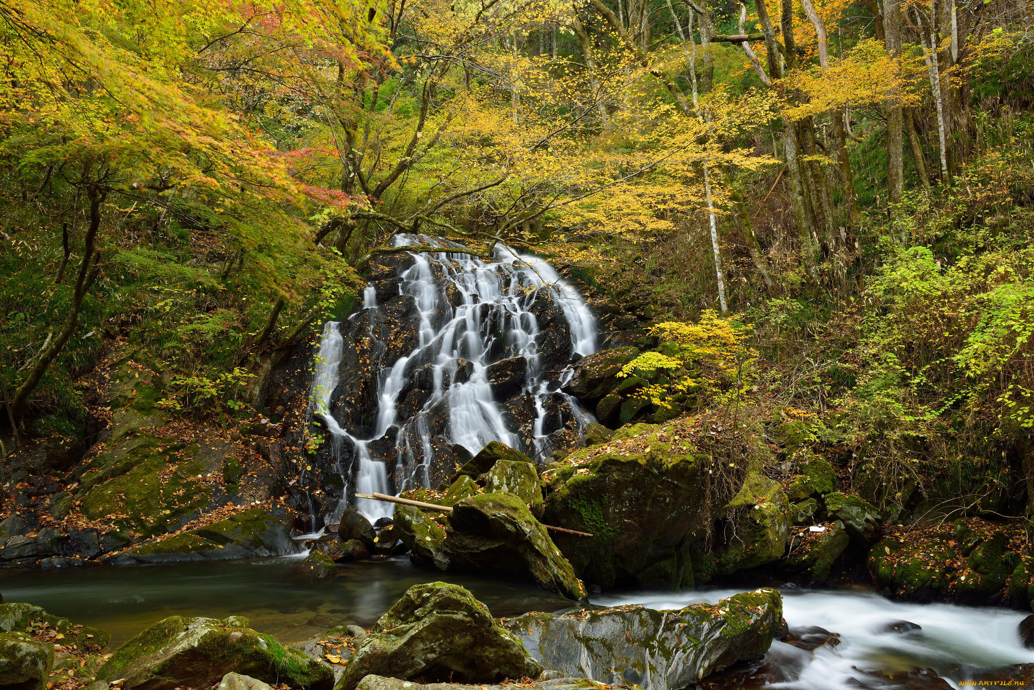 природа, водопады, лес, водопад, река