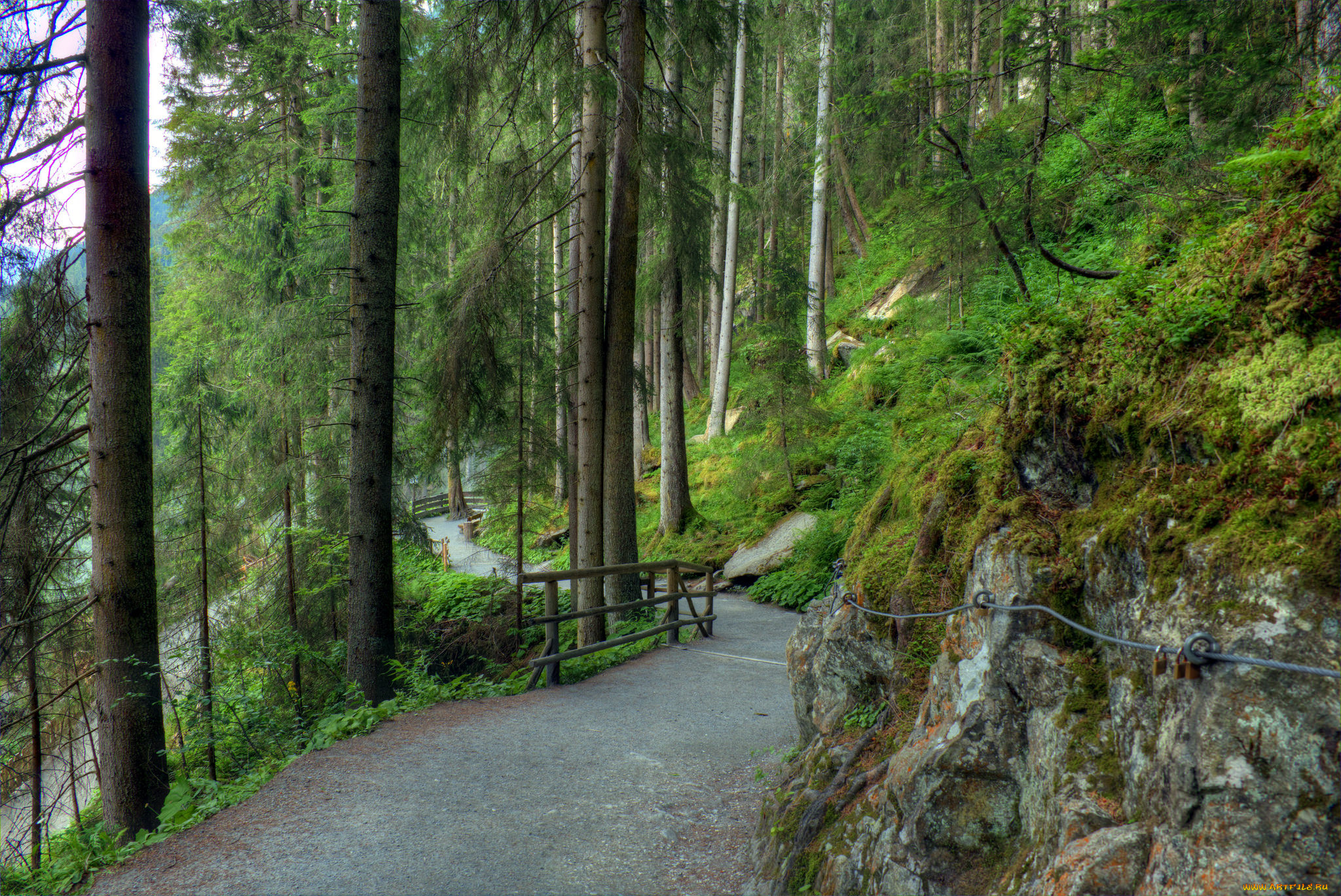 природа, дороги, дорога, лес