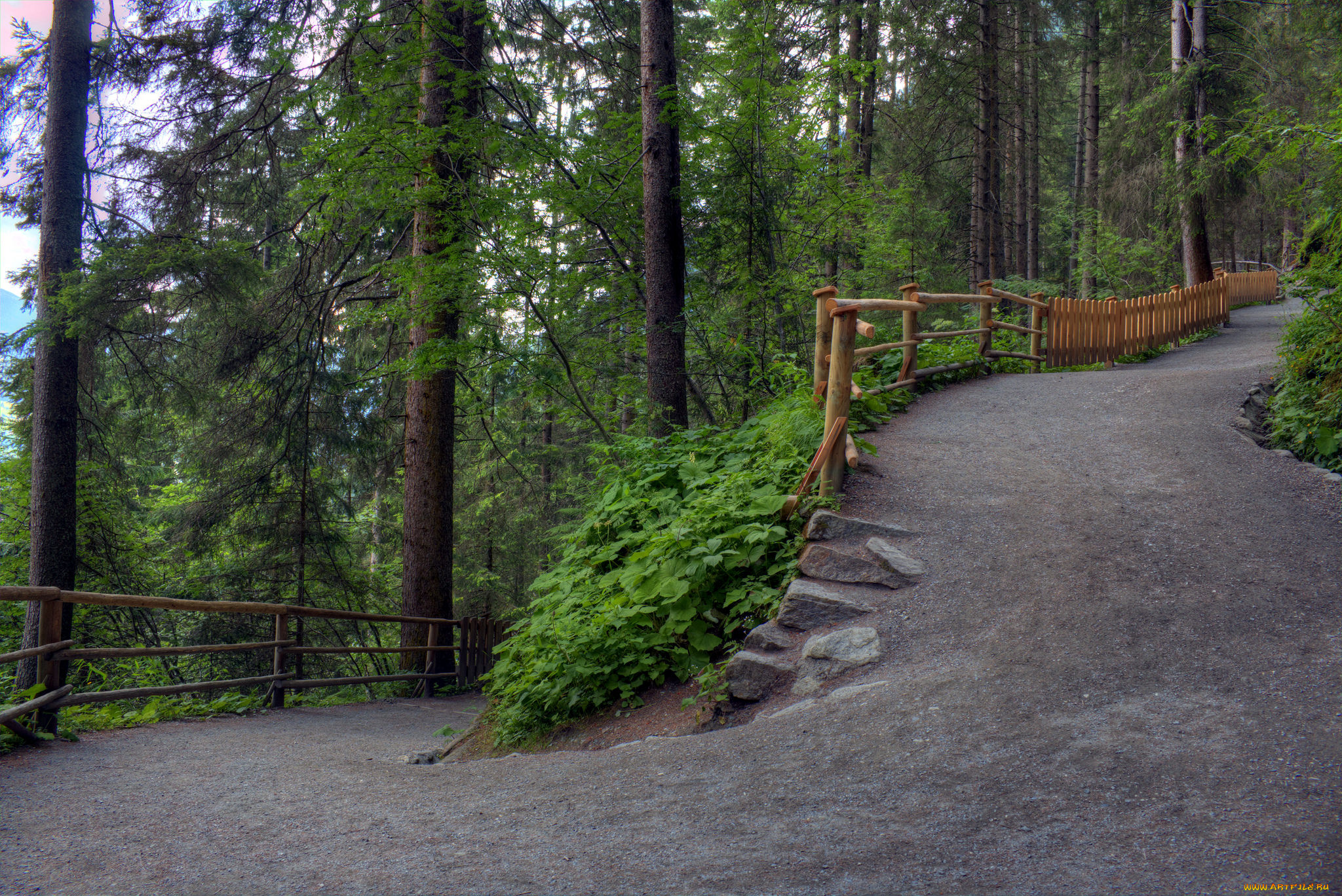 природа, дороги, лес, дорога