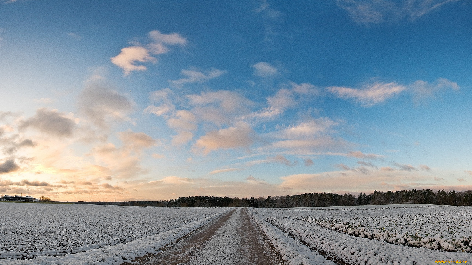 природа, дороги, поле, дорога