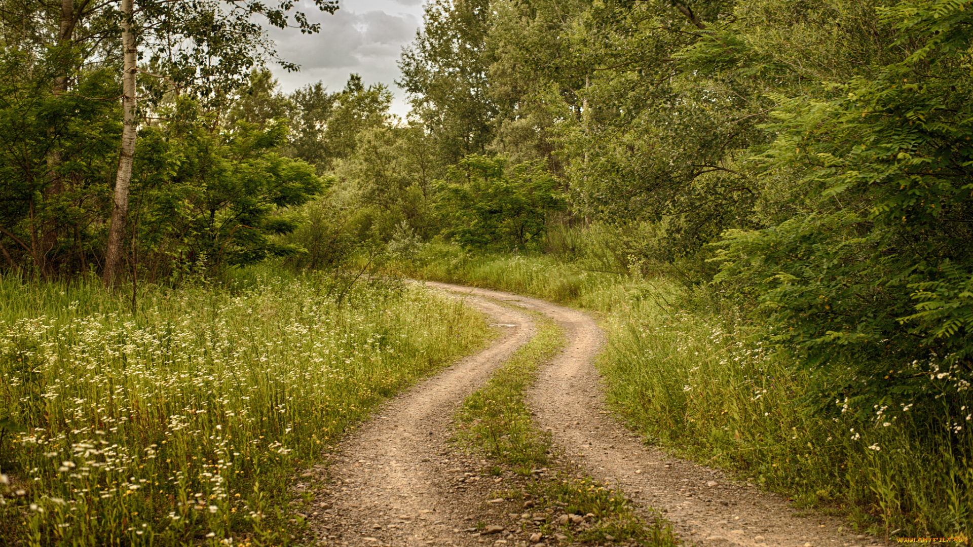 природа, дороги, тракт