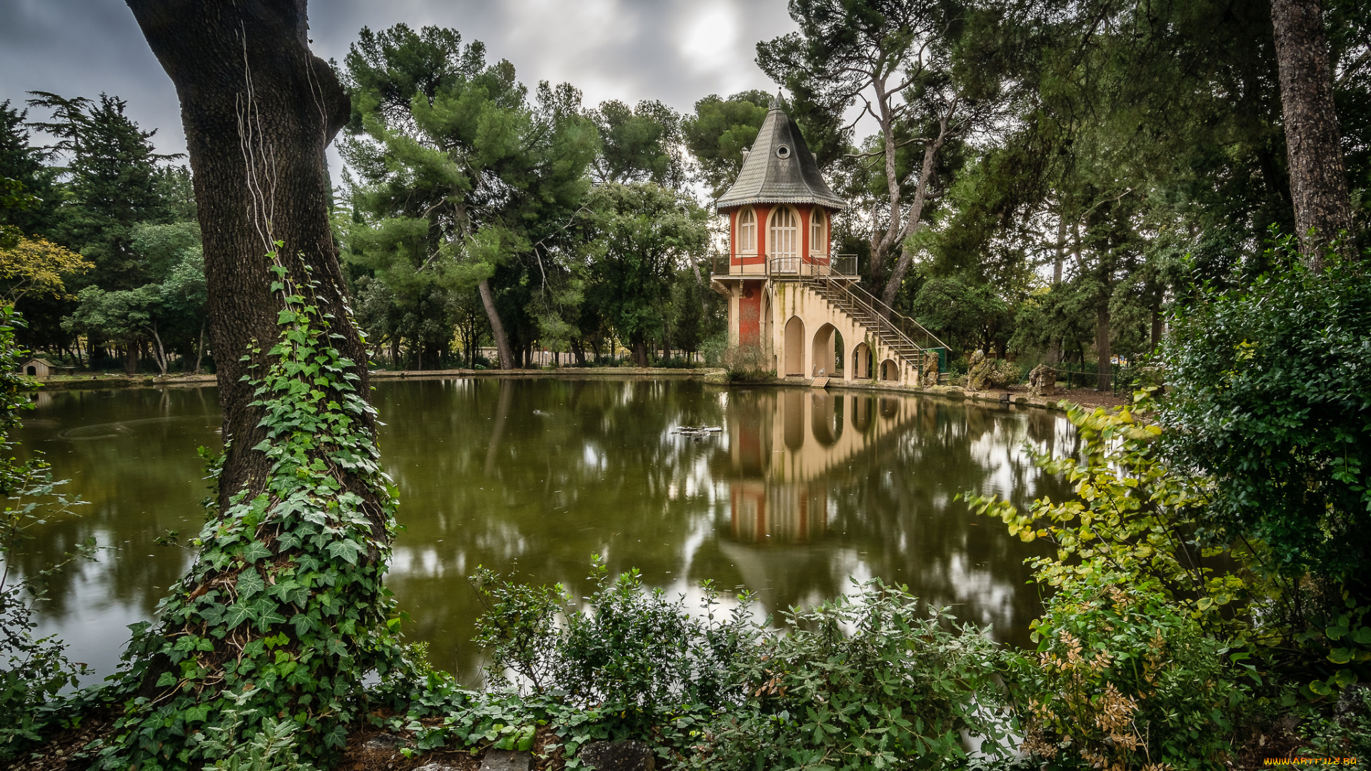 природа, парк, пруд, флора