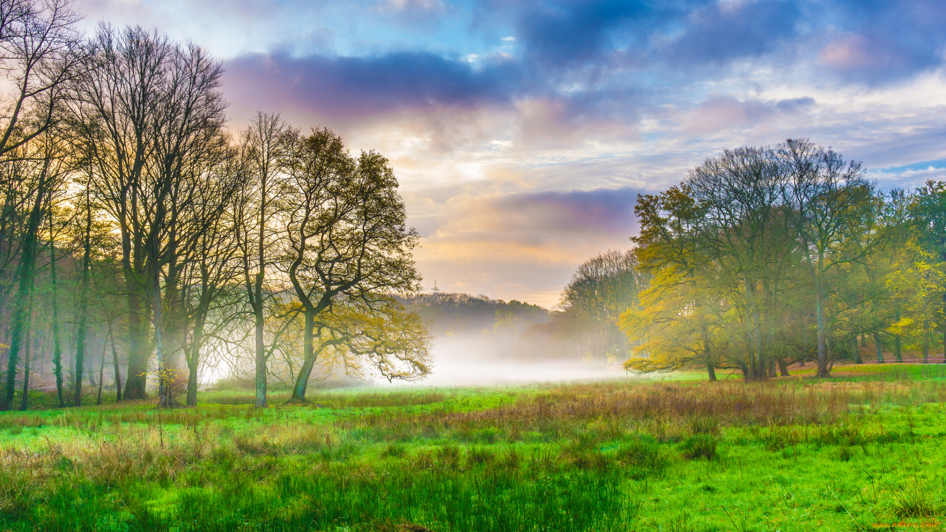 природа, пейзажи, простор