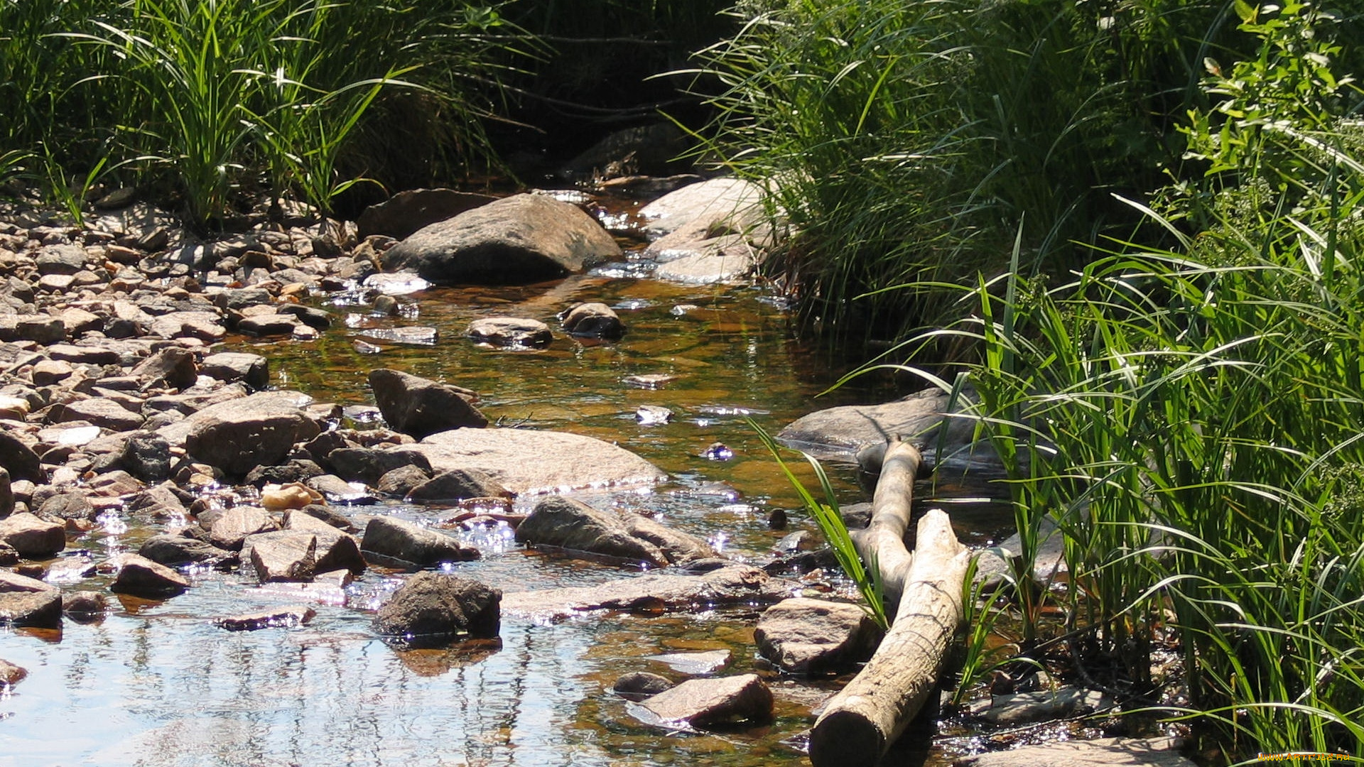 природа, реки, озера, камни, река