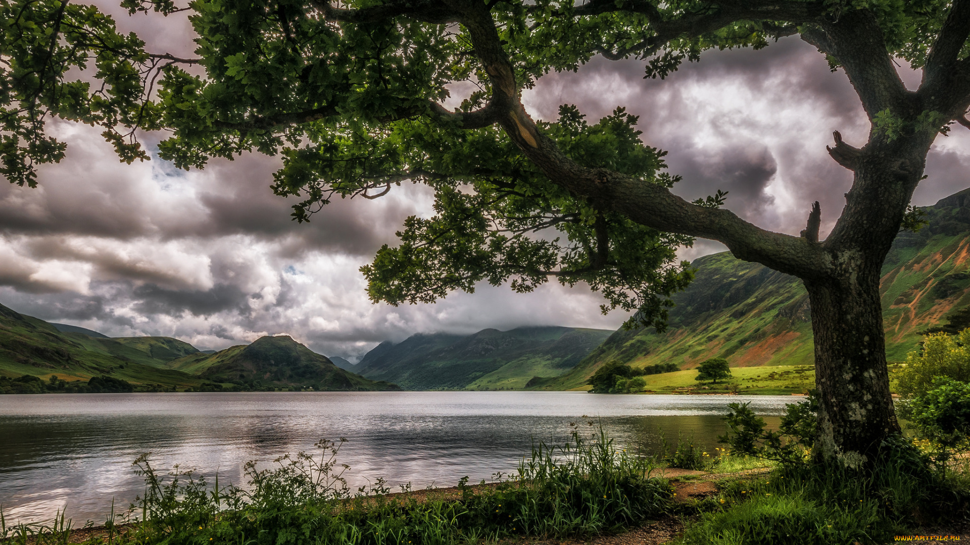 природа, реки, озера, лес, река