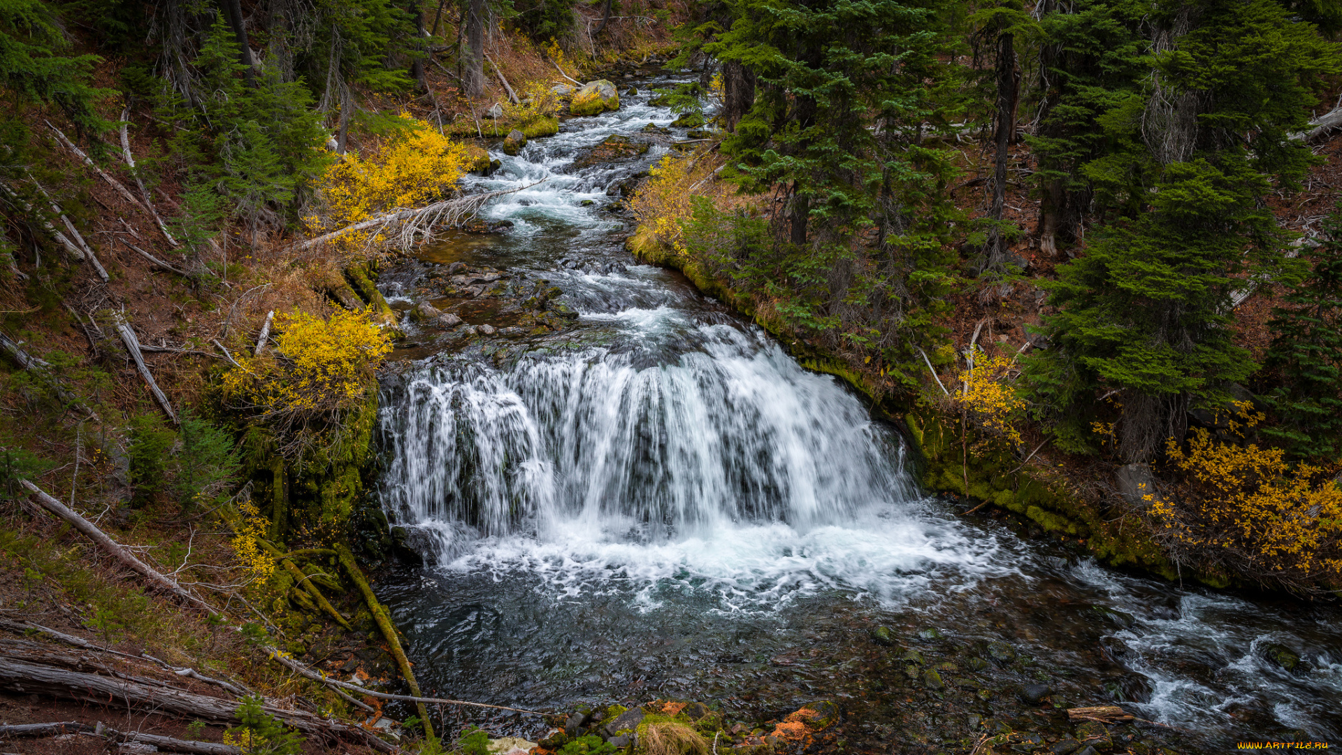 природа, водопады, водопад, река, лес