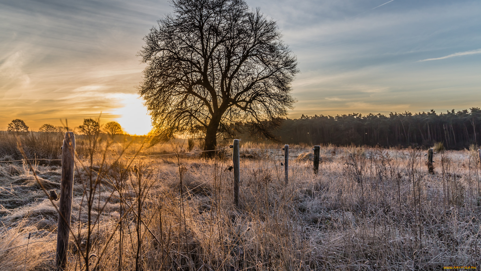 природа, восходы, закаты, рассвет