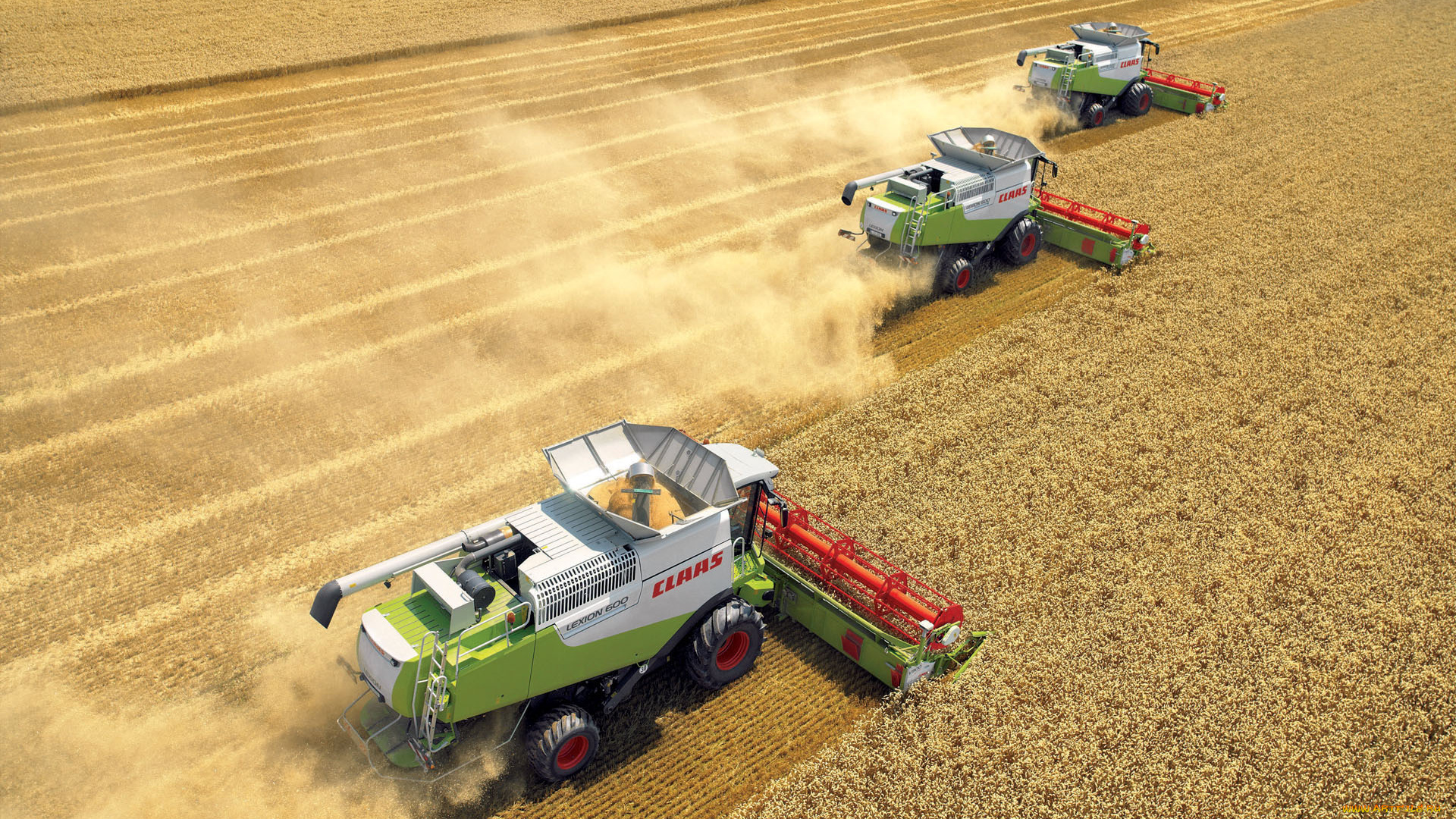 техника, комбайны, claas