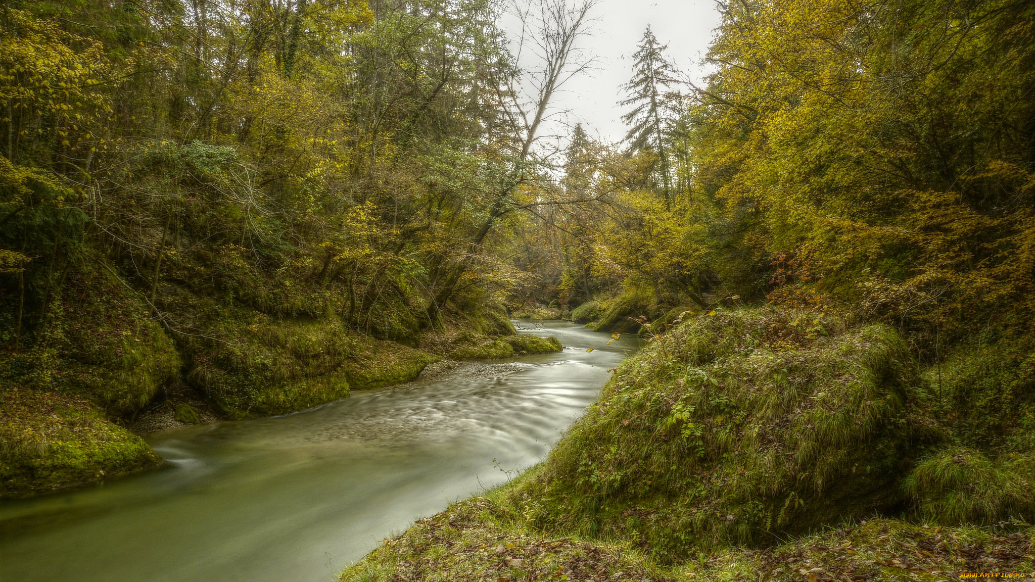 природа, реки, озера, лес, река