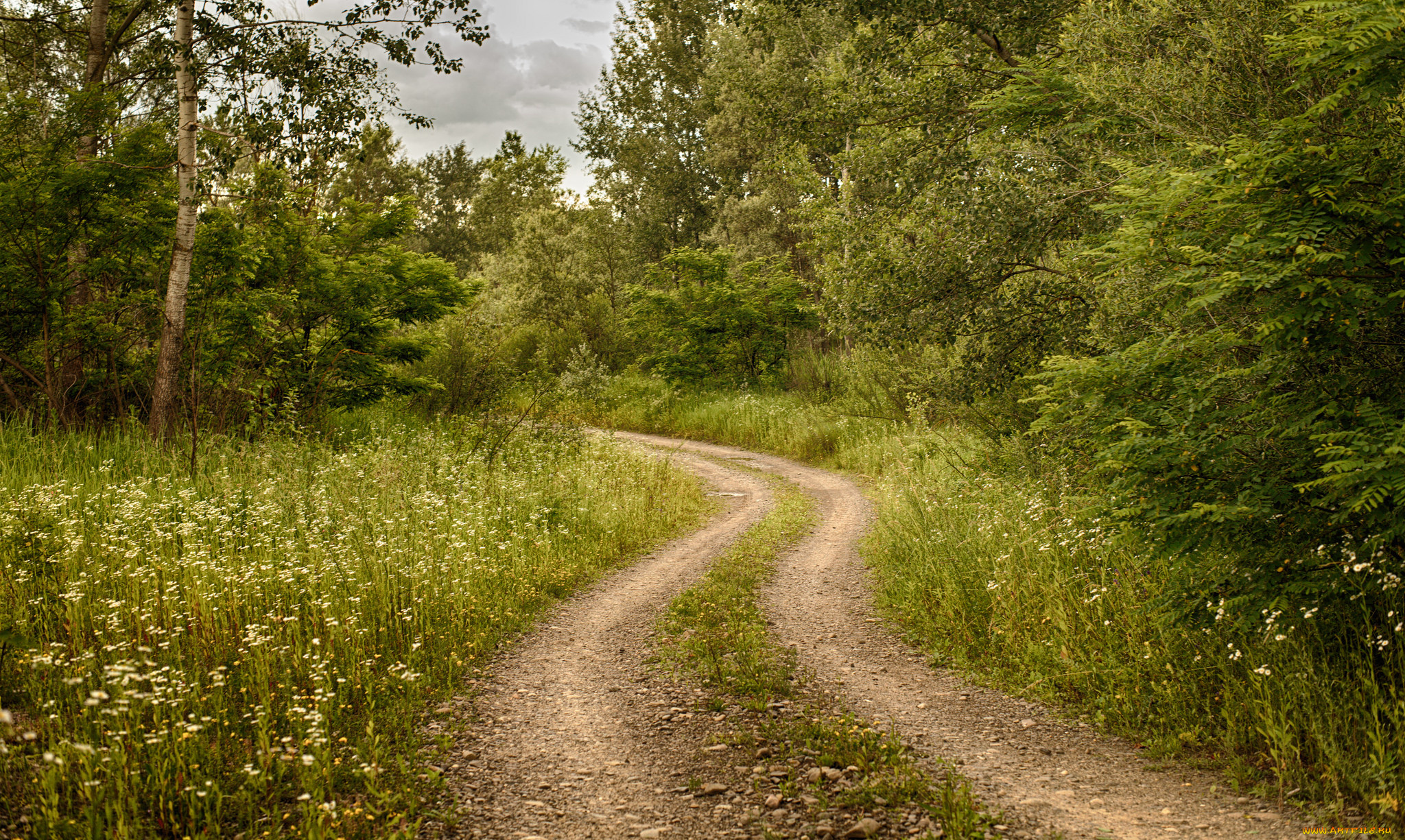 природа, дороги, тракт