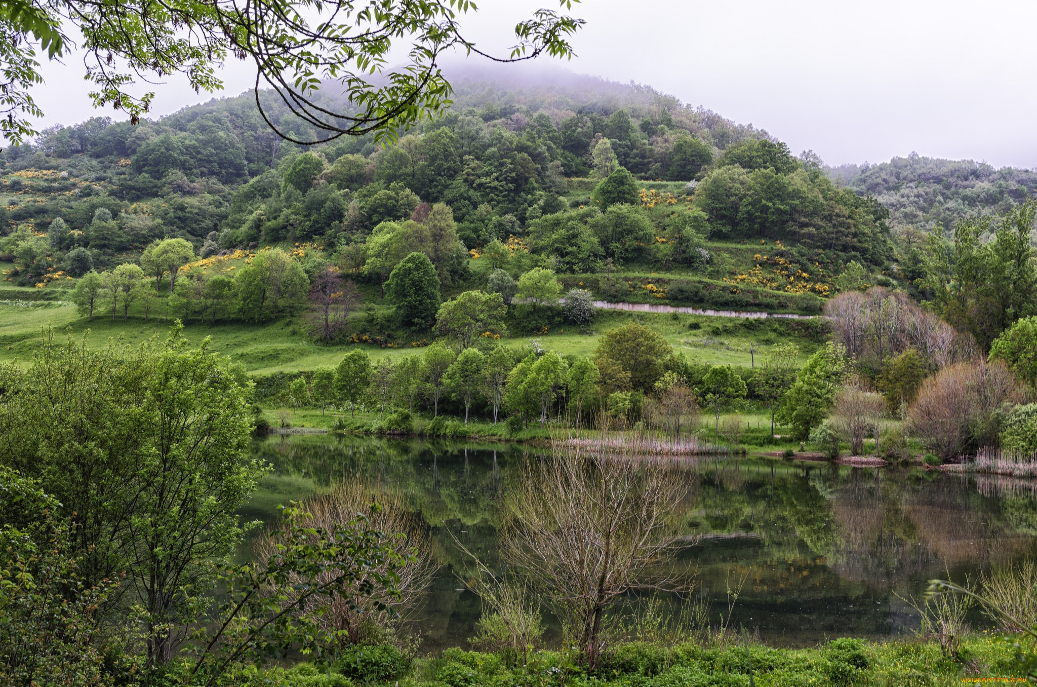 природа, реки, озера, лес, река