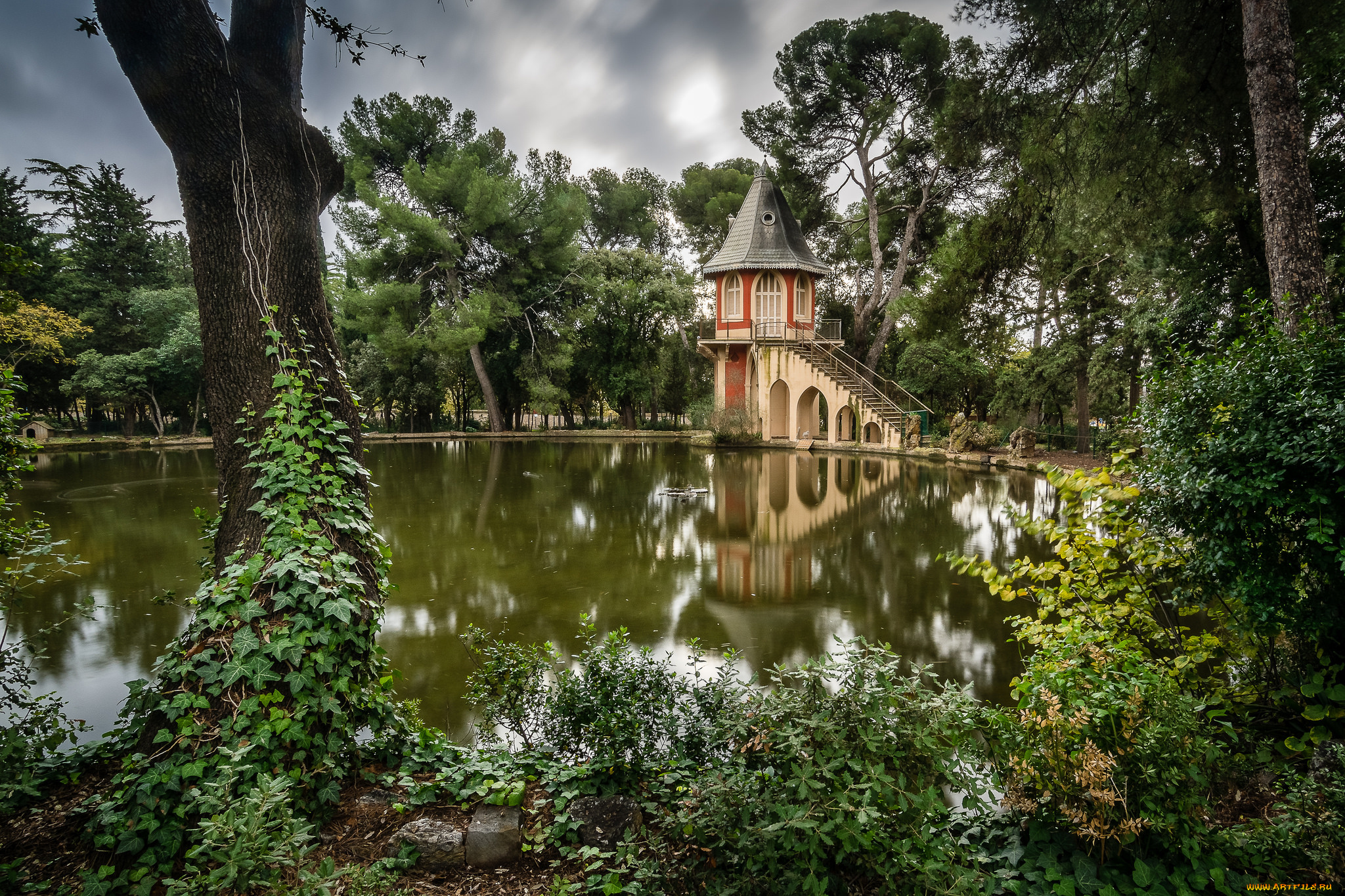 природа, парк, пруд, флора