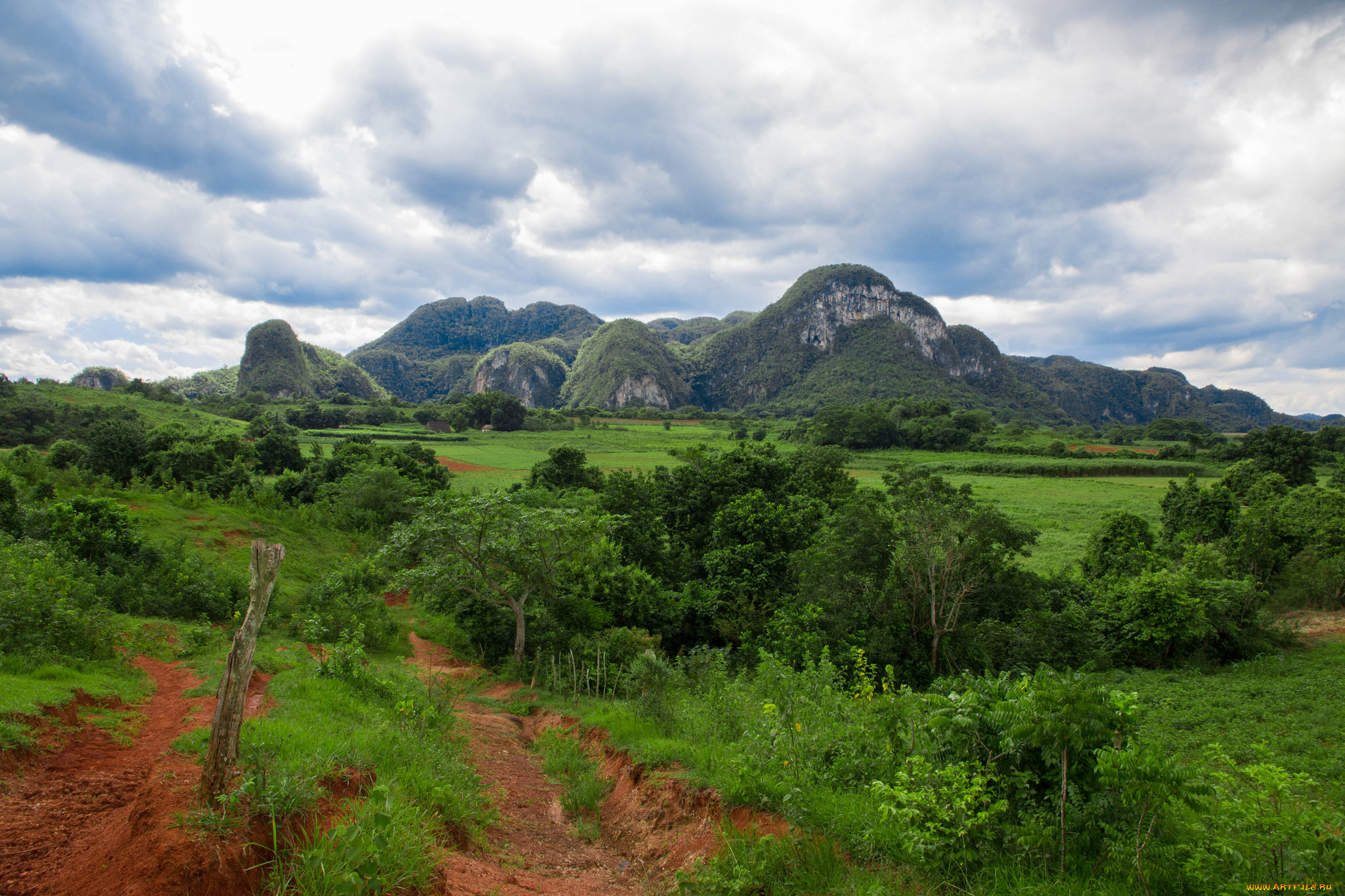 природа, пейзажи, простор