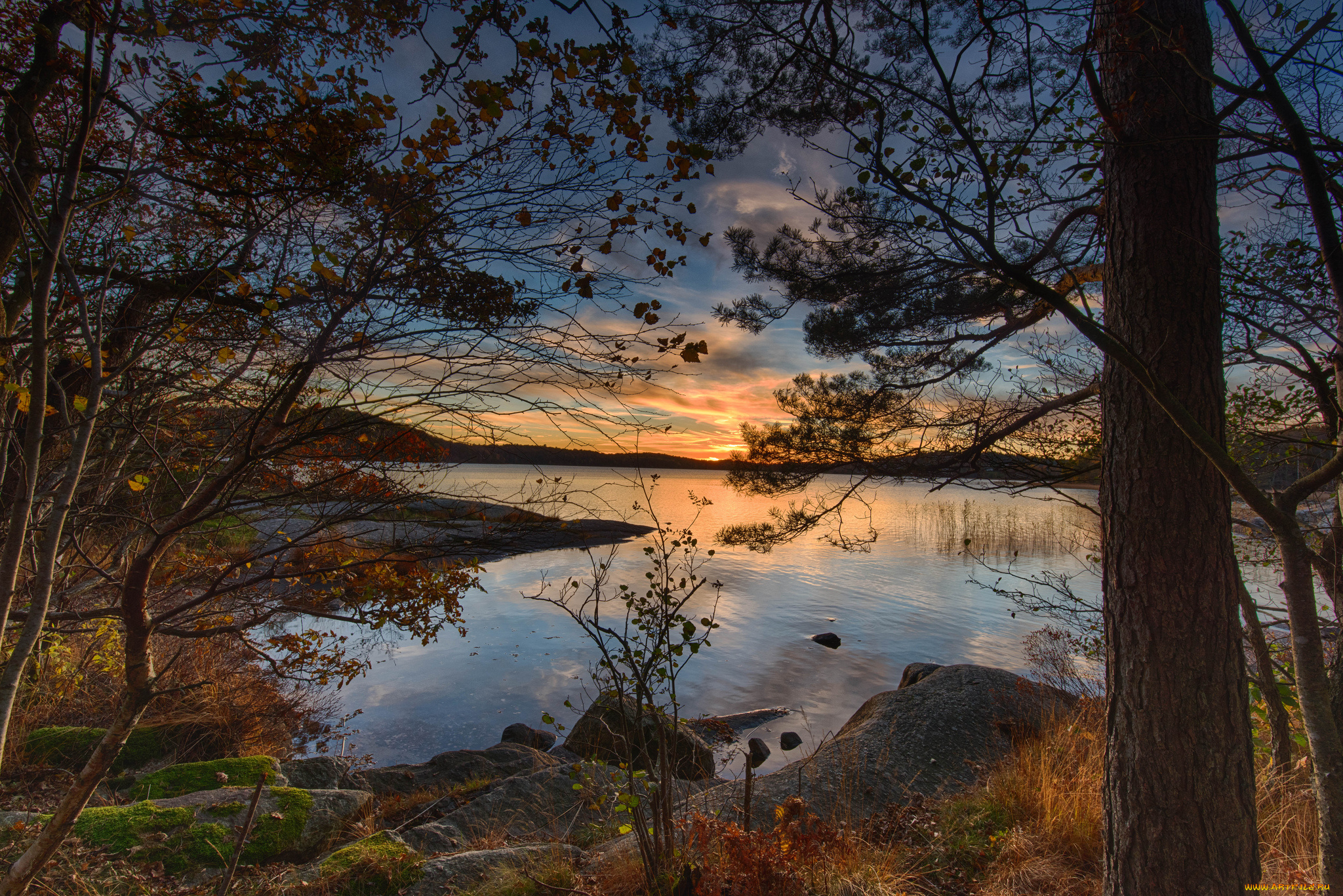 природа, реки, озера, лес, река