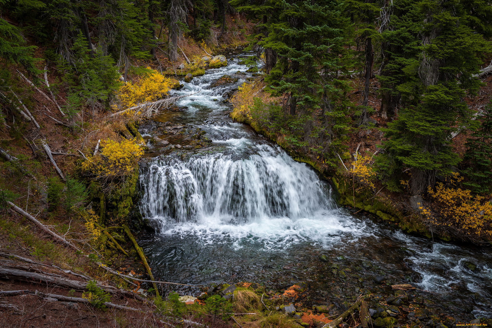 природа, водопады, водопад, река, лес