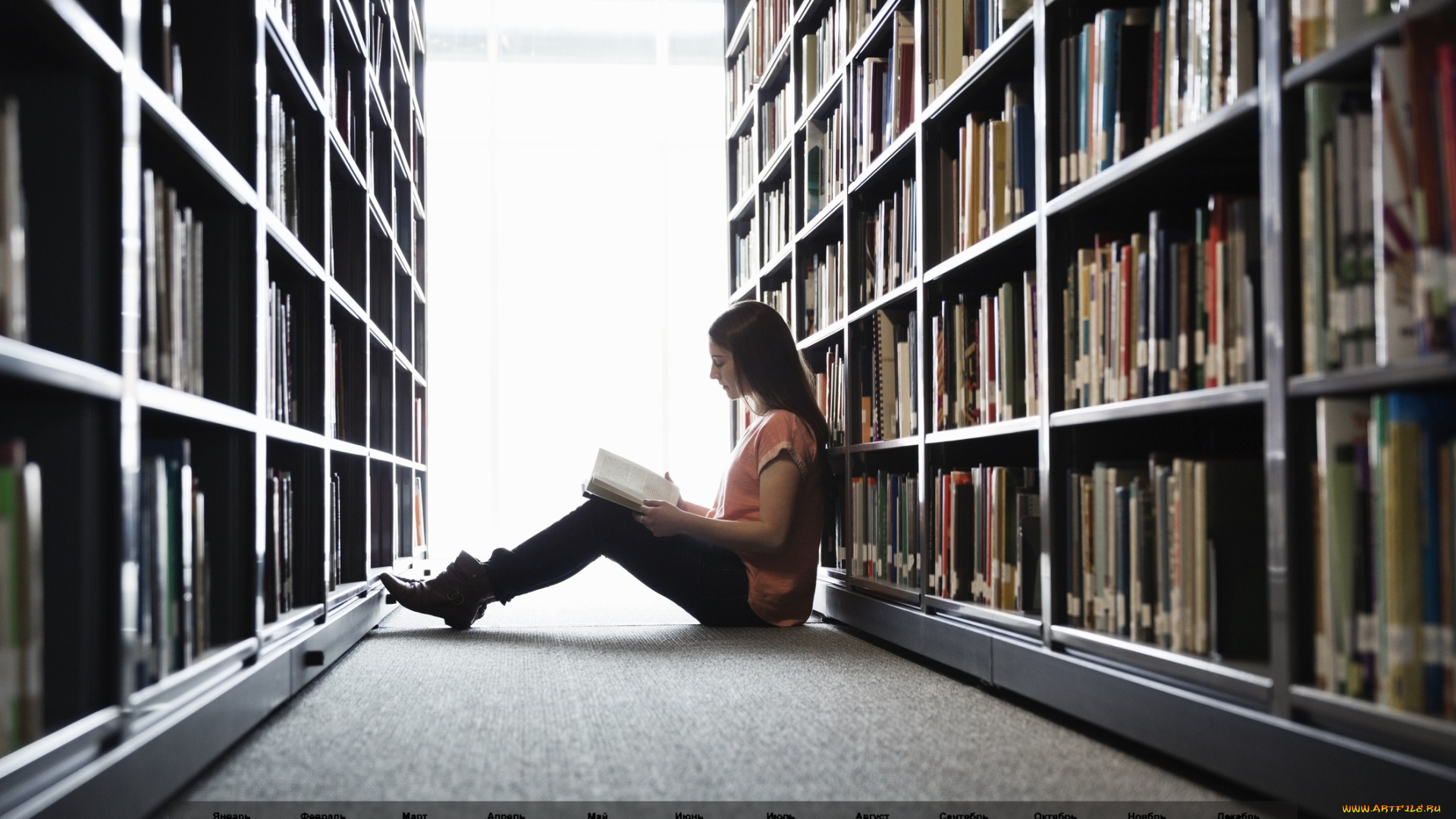 календари, девушки, книга, стеллаж, 2018