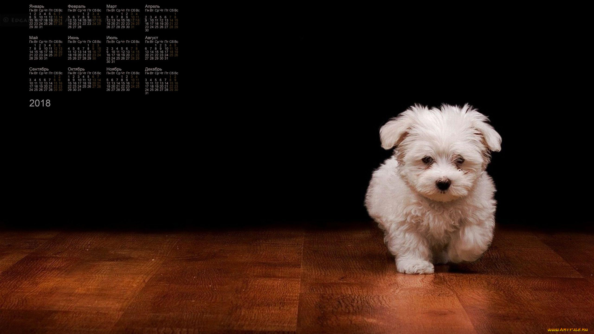 календари, животные, собака, 2018