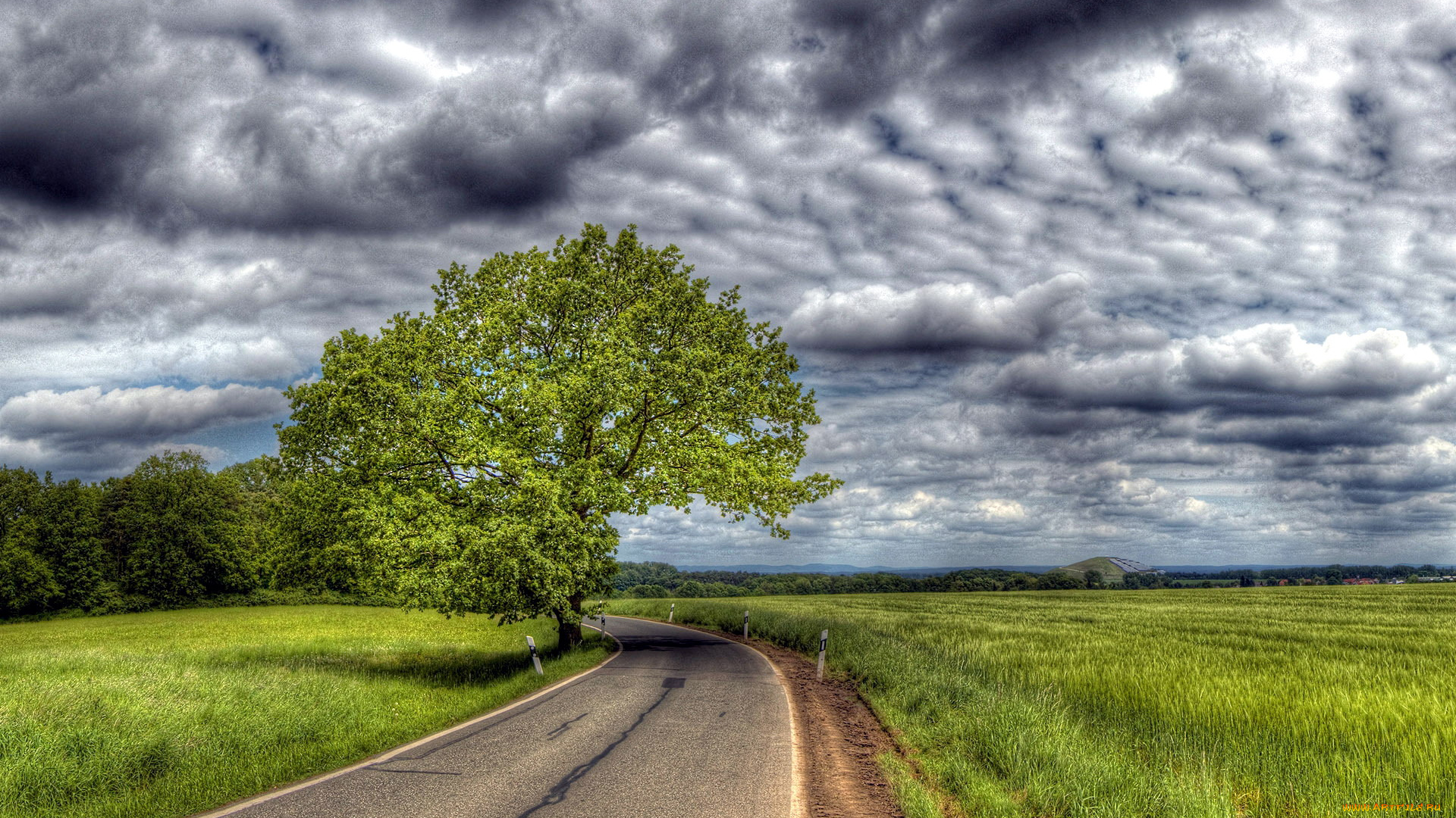 природа, дороги, шоссе, поля