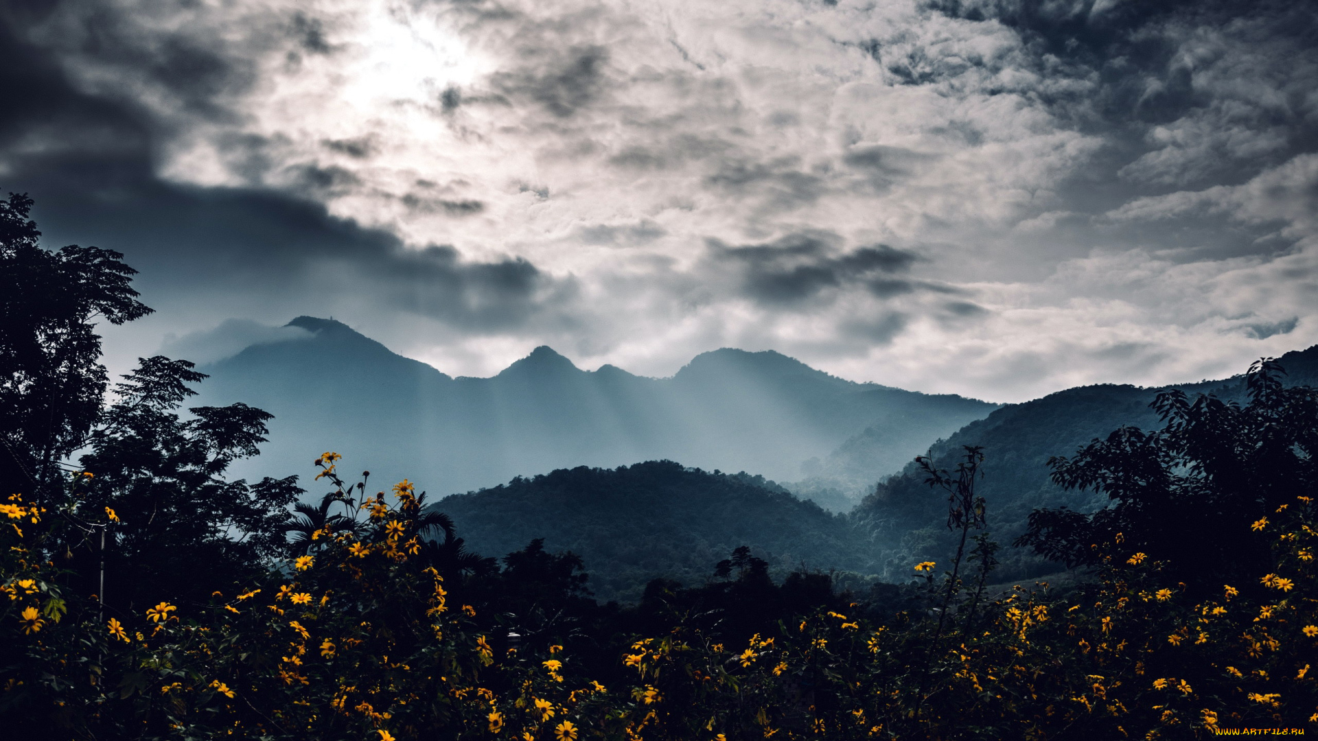 природа, горы, туман, вершины