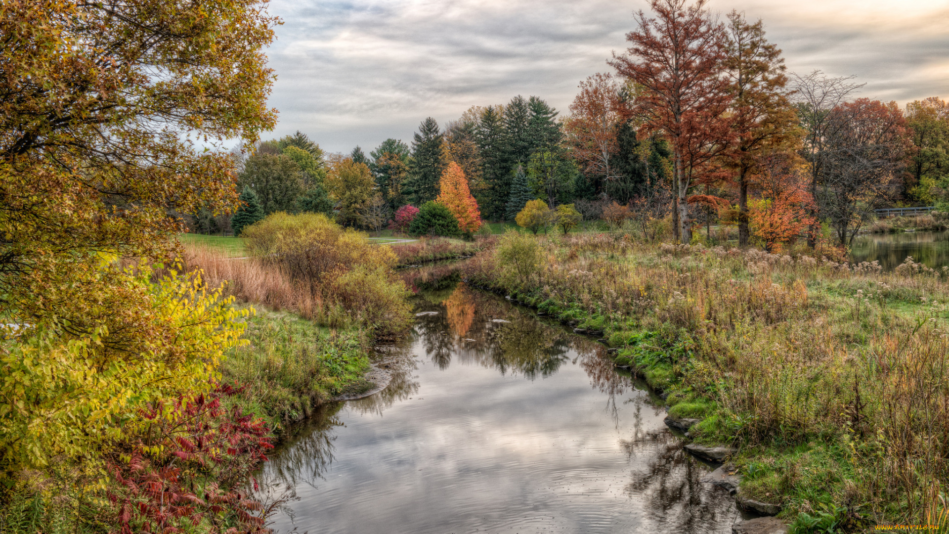 природа, реки, озера, простор