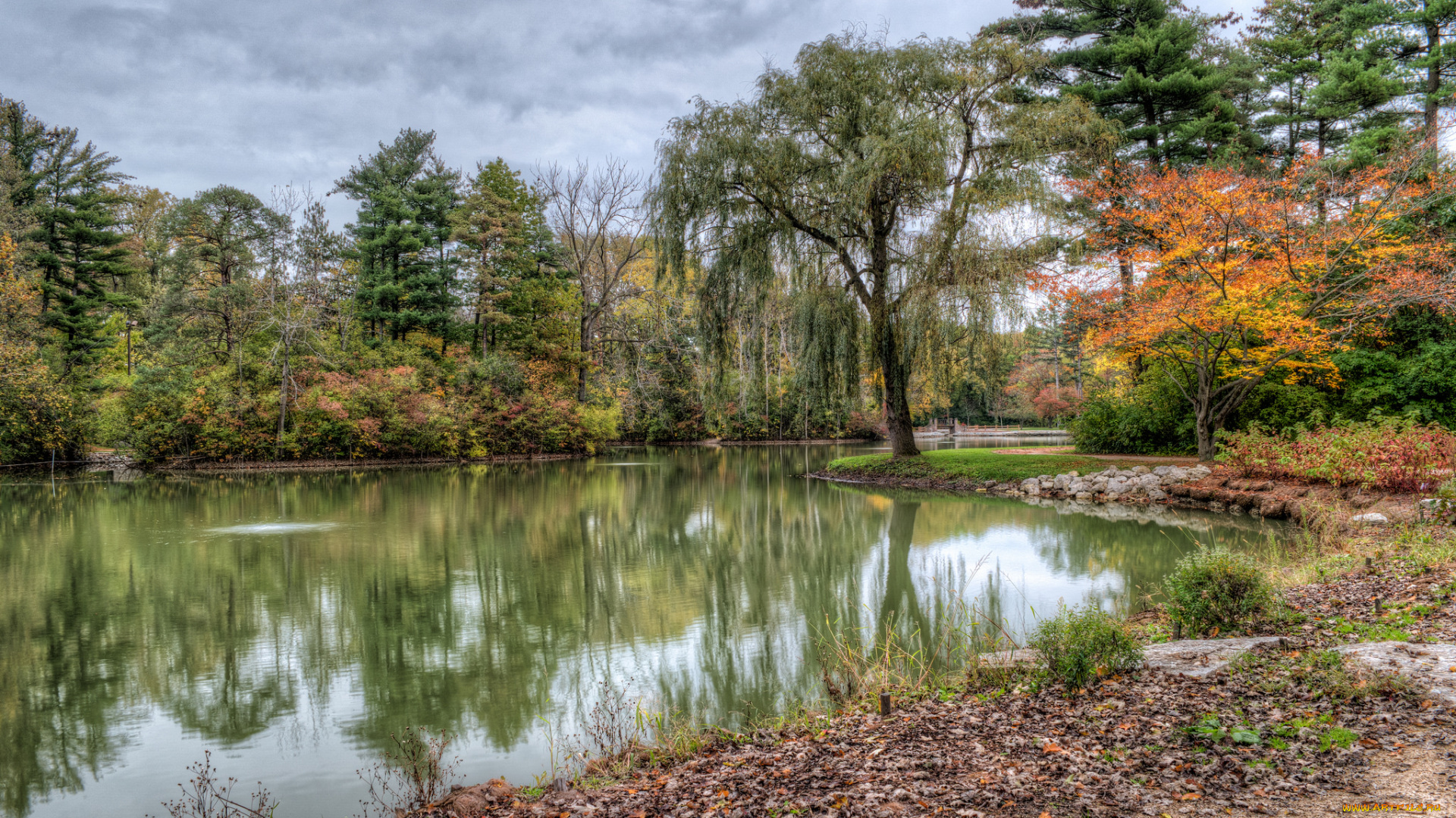 природа, реки, озера, простор