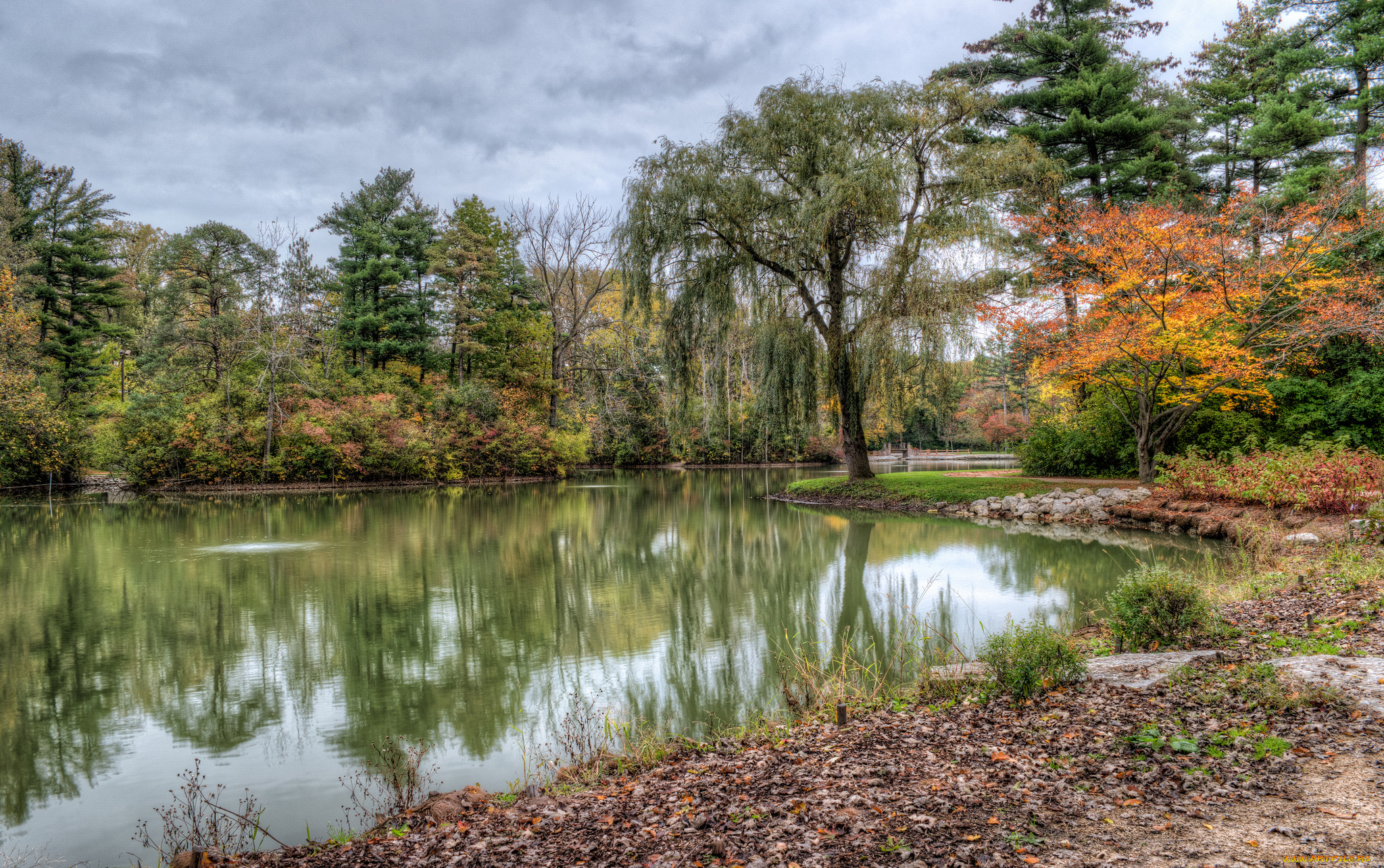 природа, реки, озера, простор