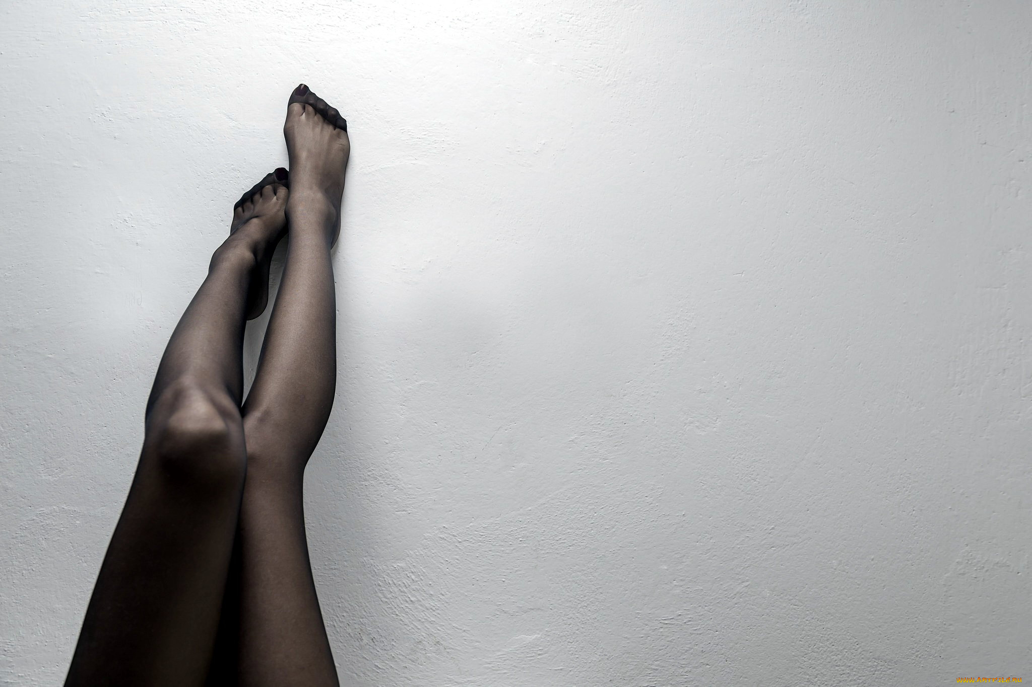 девушки, -unsort, , женские, прелести, ножки