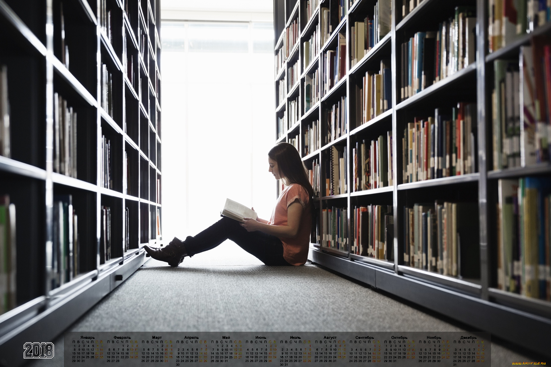 календари, девушки, книга, стеллаж, 2018